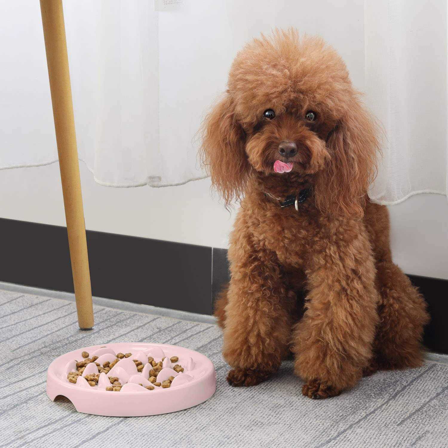 Slow Feeder Bowl for Cats and Small Dogs,Cilkus Fish Pool Design