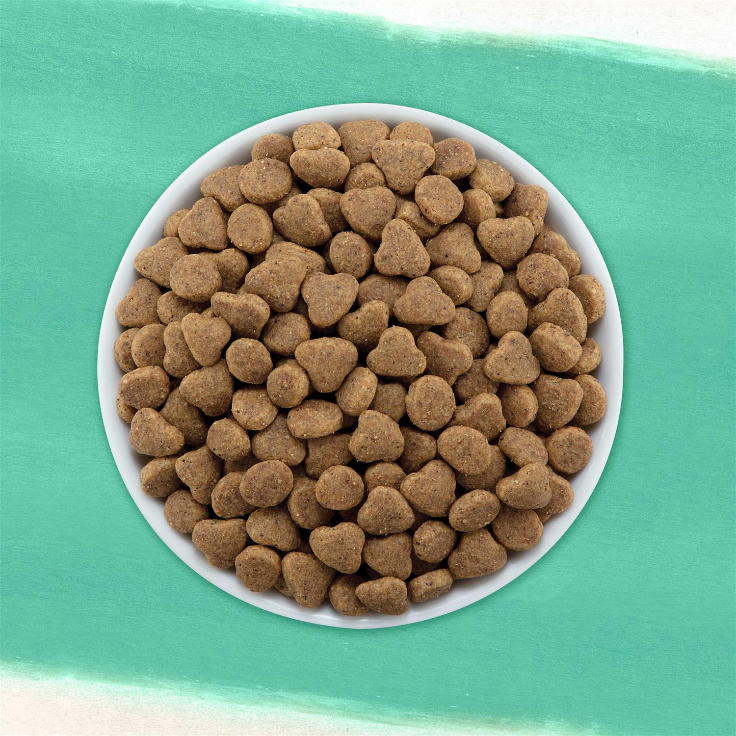 Purina Beyond Grain Free Dry Cat Food