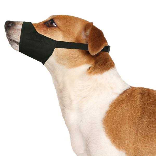 Four Paws Muzzle Quick Fit