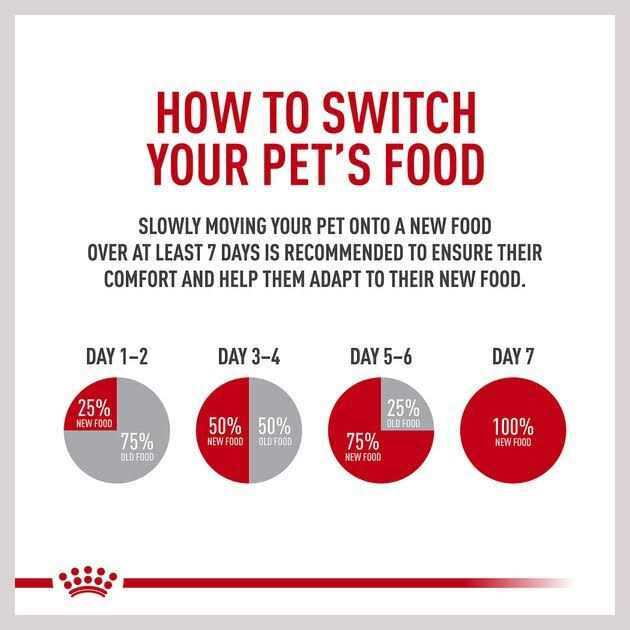 Royal Canin Veterinary Diet Adult Hydrolyzed Protein Loaf Canned Dog Food