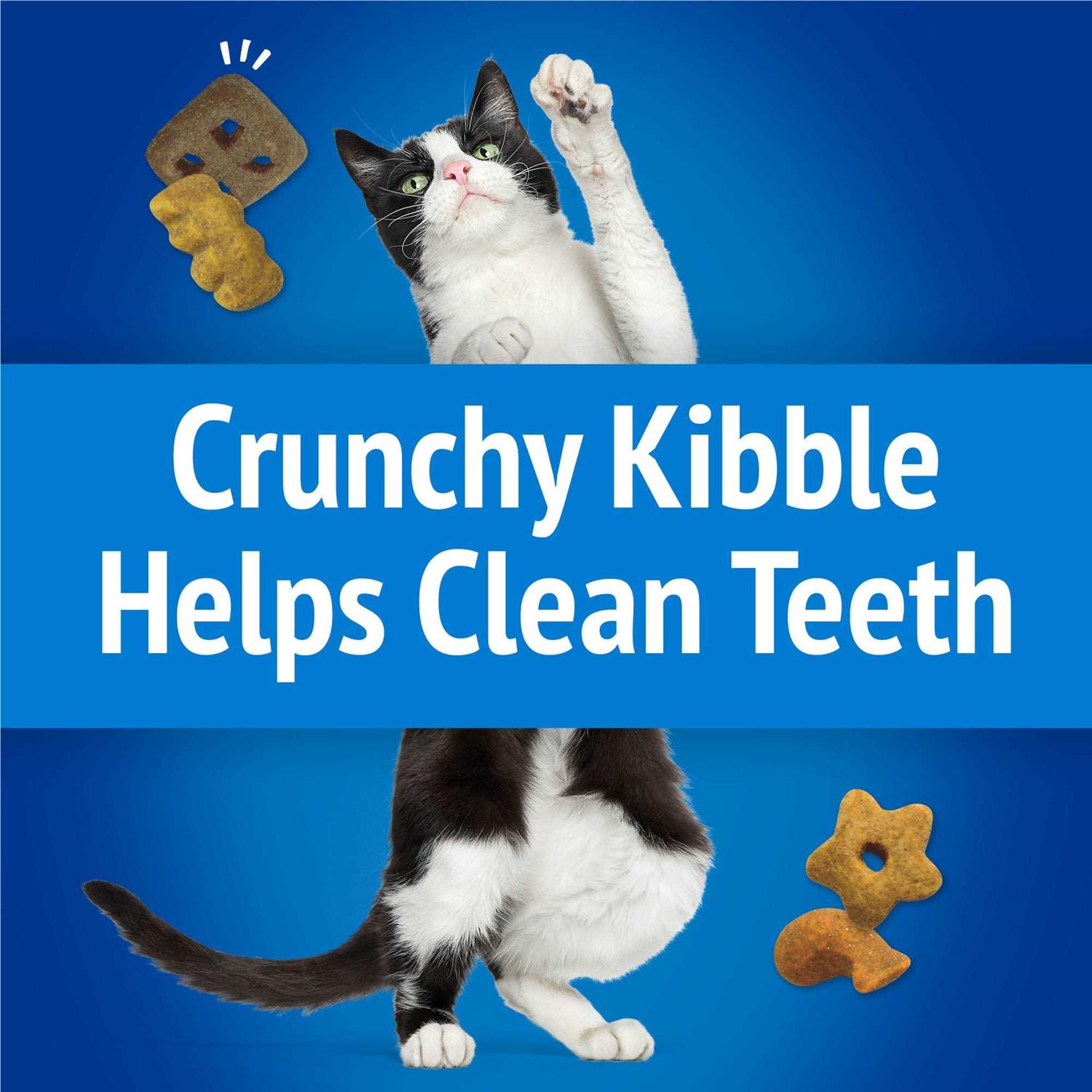 Purina Friskies Beachside Crunch Party Mix Cat Treats