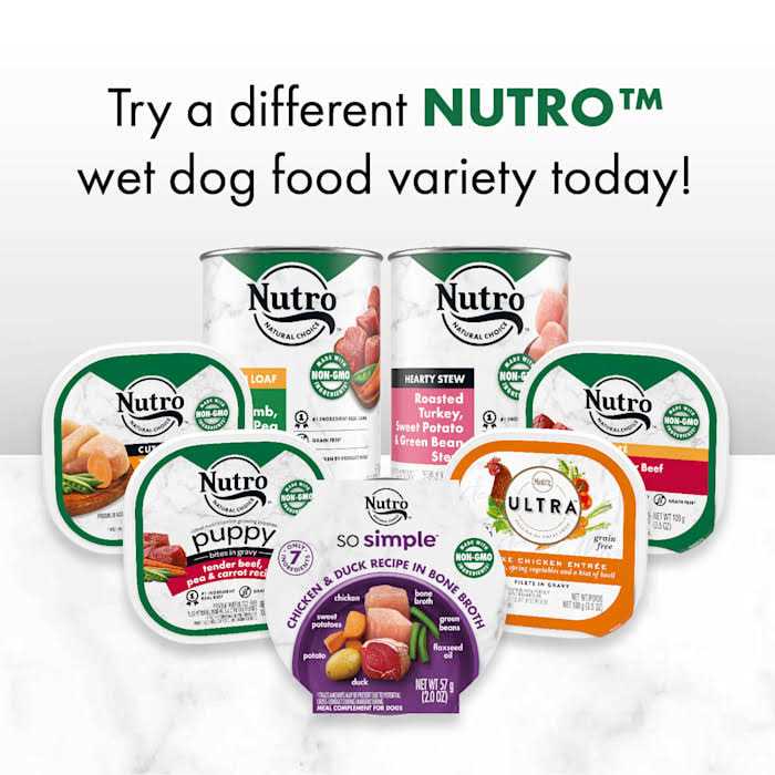 Nutro So Simple Meal Complement Wet Dog Food Chicken & Duck Recipe in Bone Broth