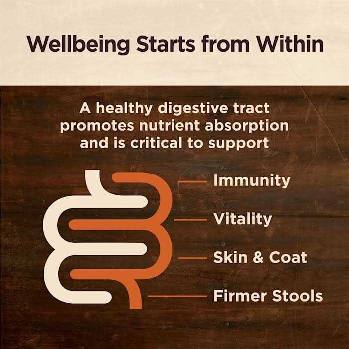 Wellness Core Digestive Health Beef Grain Free Wet Dog Food