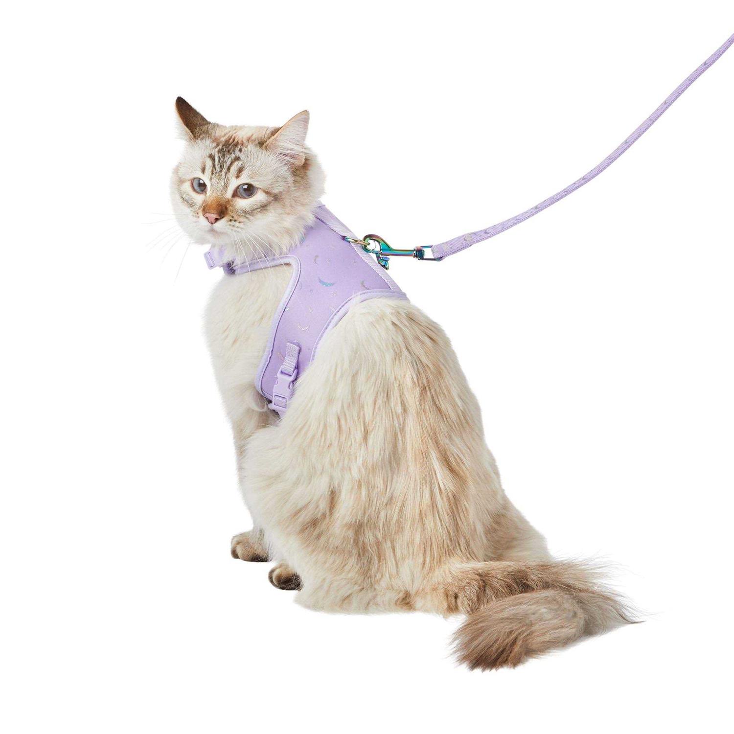 Whisker City Cat Leash & Harness Combo