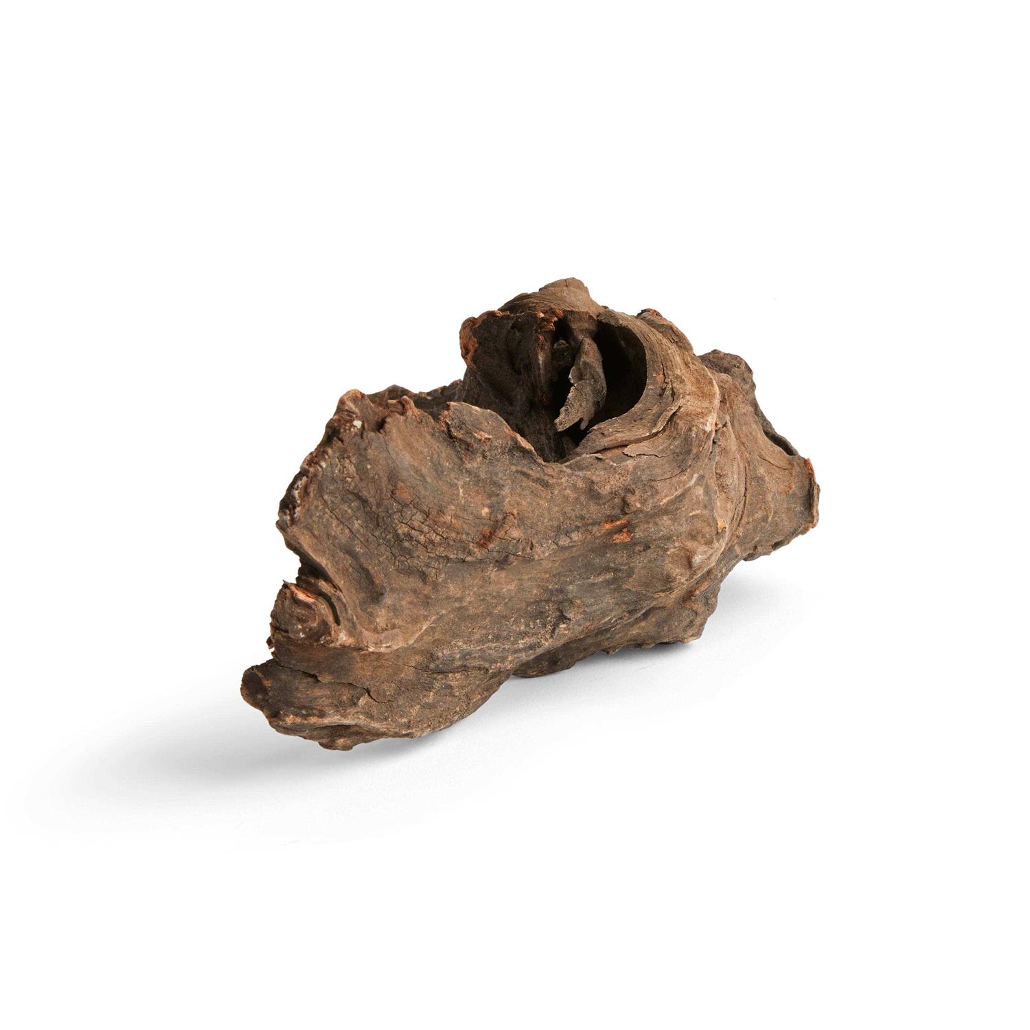 Imagitarium Driftwood