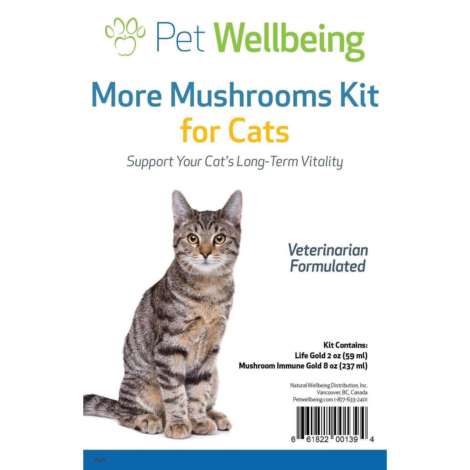 Pet WellBeing More Mushrooms Kit Comprehensive Care for Cat Cancer Support
