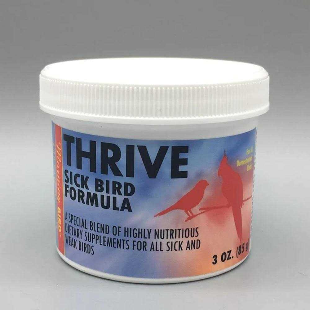 Morning Bird Thrive