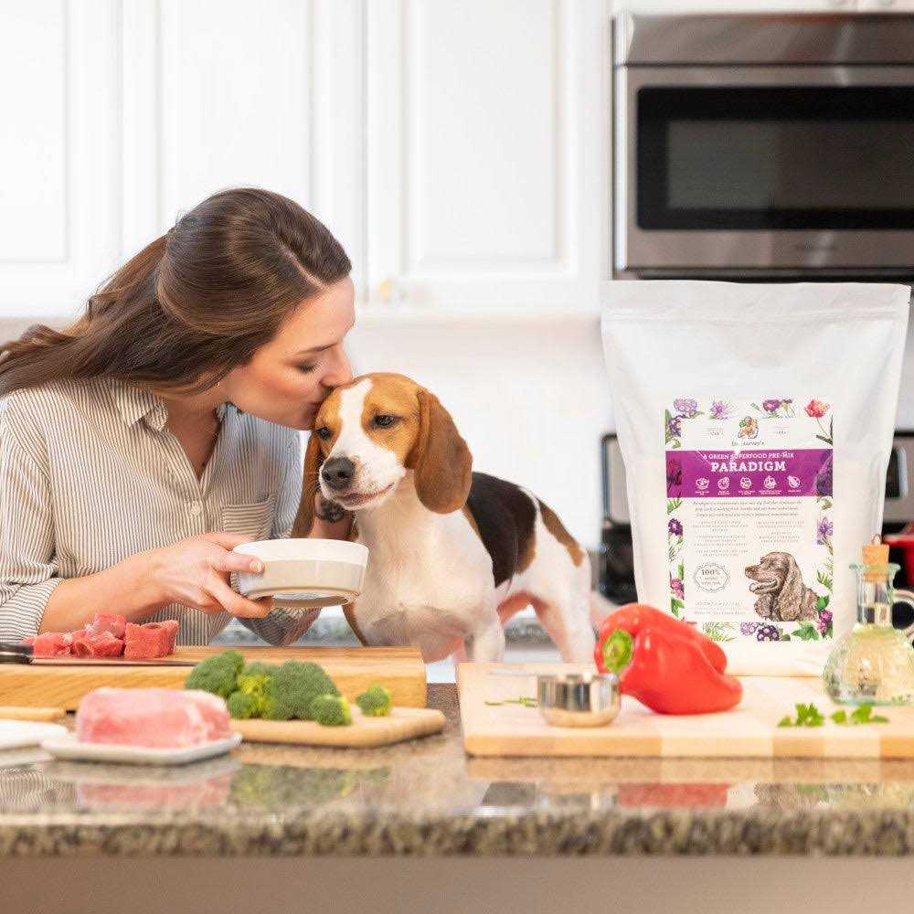 Dr. Harvey’s Paradigm Superfood Pre-Mix Dog Food