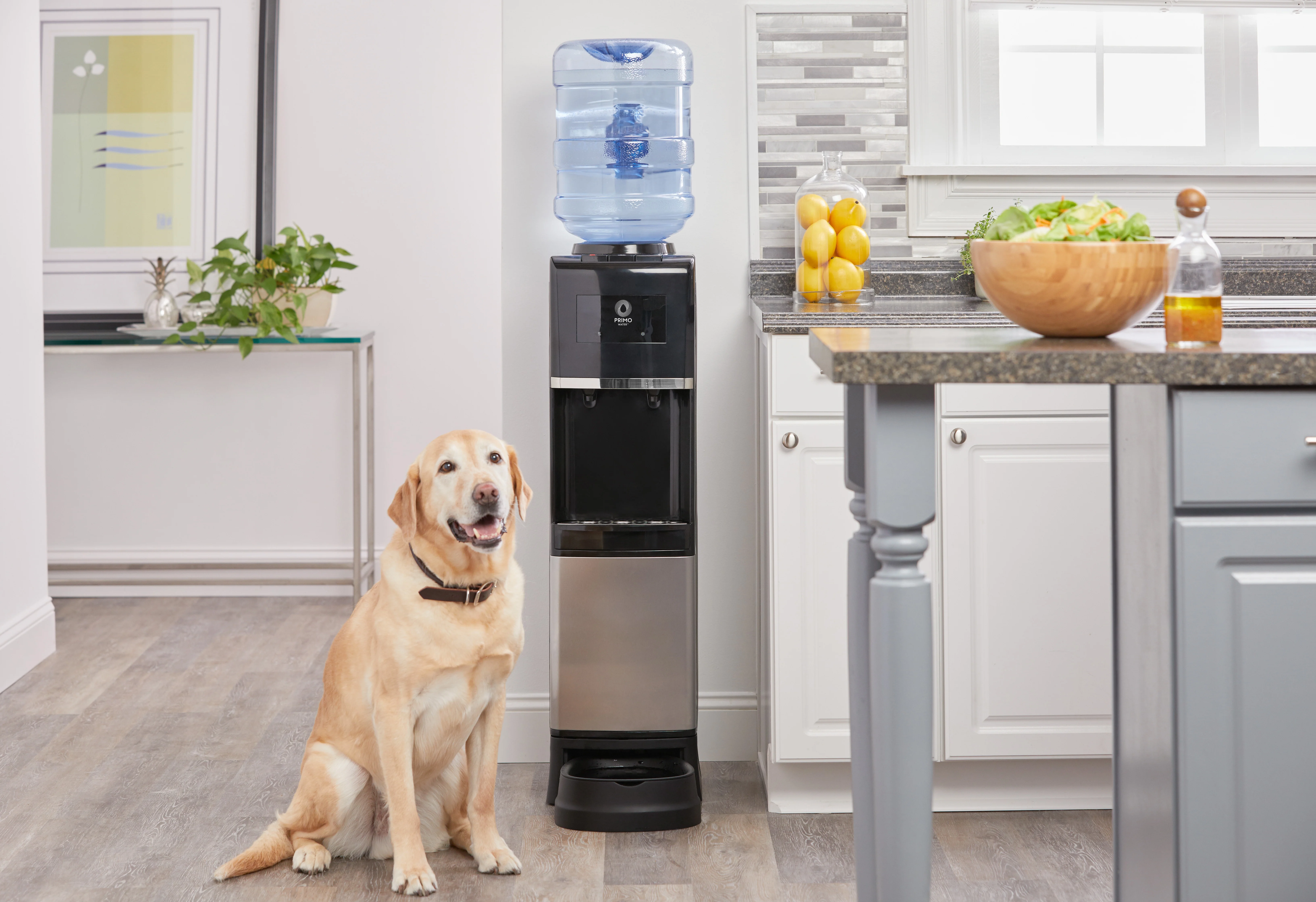 Primo® Water Pet Station Water Dispenser Top Loading, Hot/Cold Temperature, Black and Stainless Steel