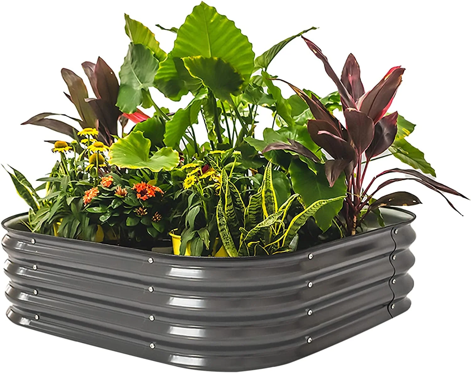 Vego Garden 11