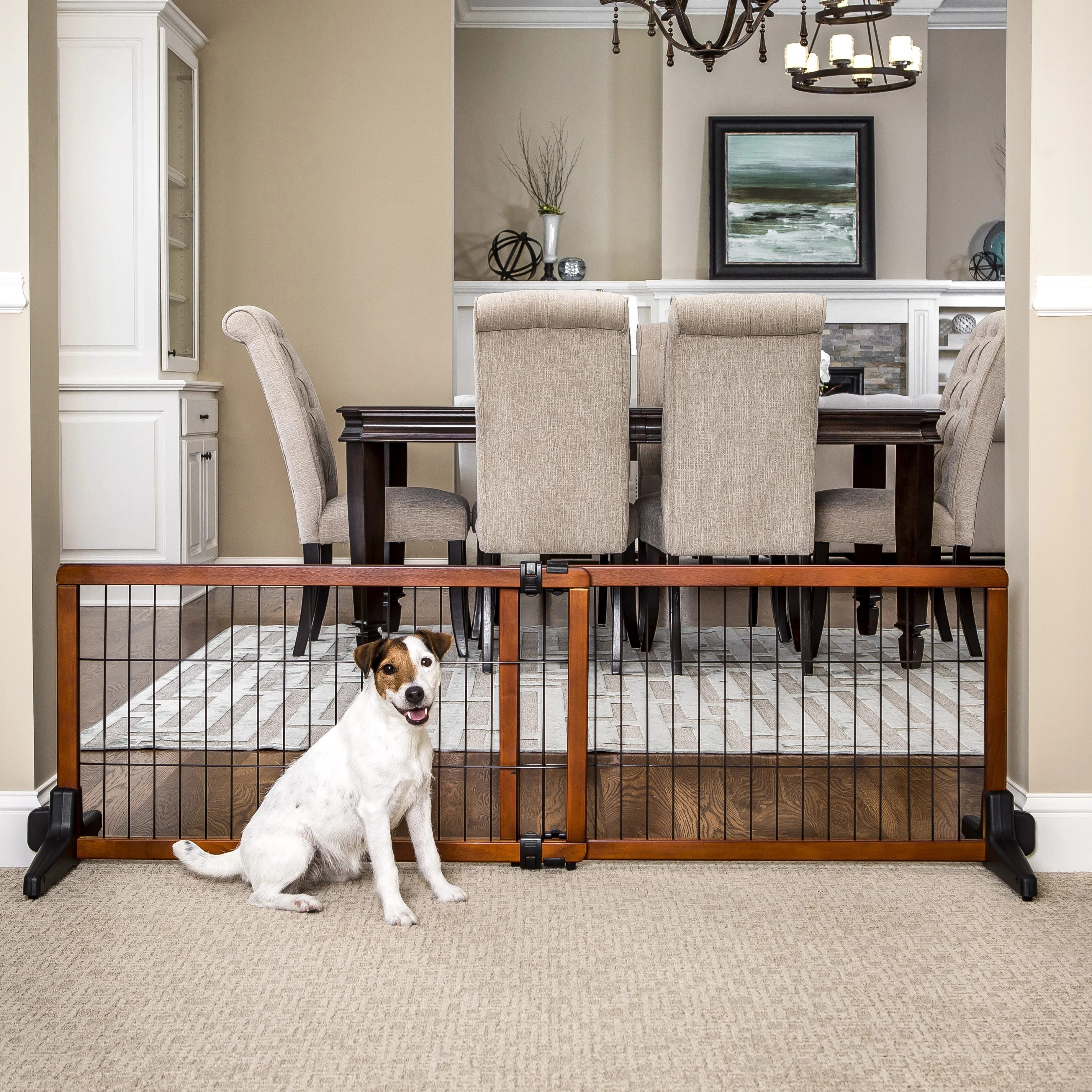 Carlson Pet Products, 41