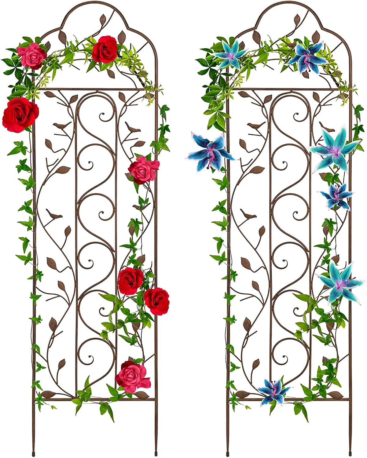 Set of 2 60x15-inch Iron Arched Garden Trellis w/Branches, Birds for Lawn, Garden, Backyard, Climbing Plants