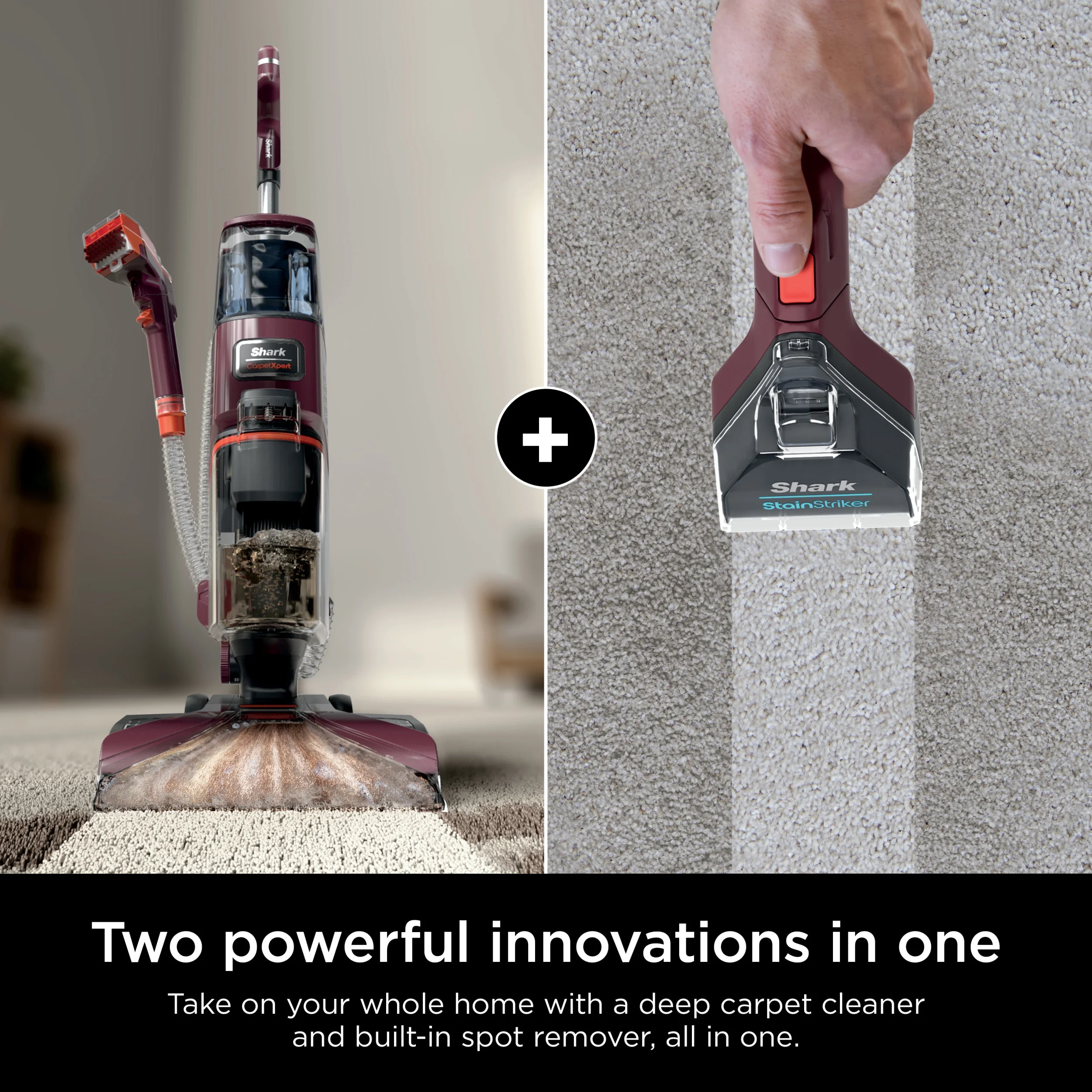 Shark CarpetXpert 10