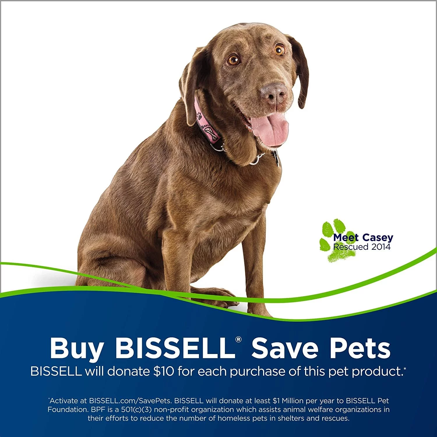 Restored BISSELL Crosswave Pet Pro All in One Wet Dry Vacuum Cleaner and Mop for Hard floors and Area Rugs, 2306A (Refurbished)