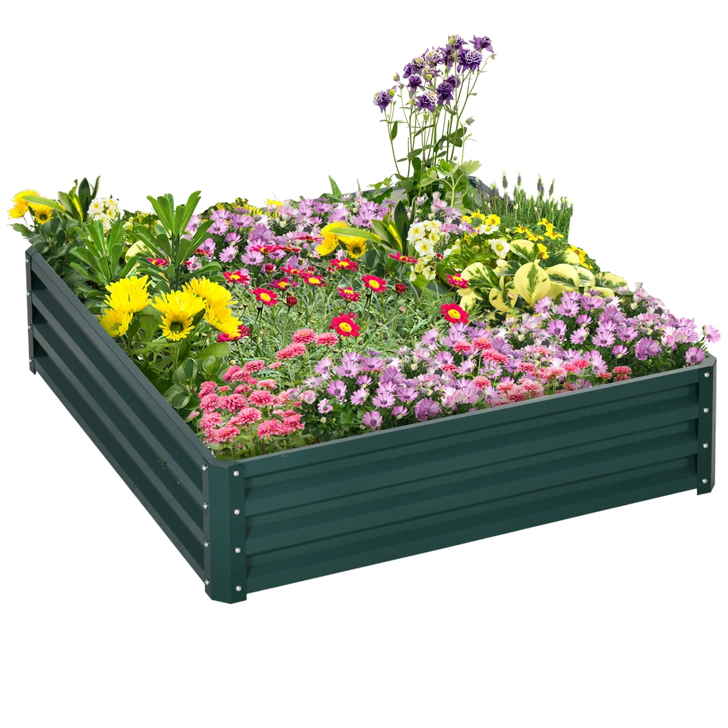 PNGCAN Outsunny Galvanized Raised Garden Bed 4‘ x 4‘ x 1‘ Metal Planter Box for Growing Vegetables Flowers Herbs Succulents Green