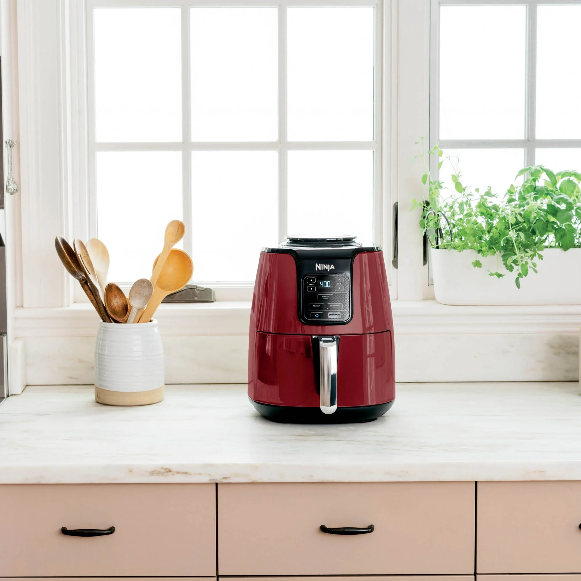 Ninja 4 Quart Air Fryer Cinnamon AF100WMRD