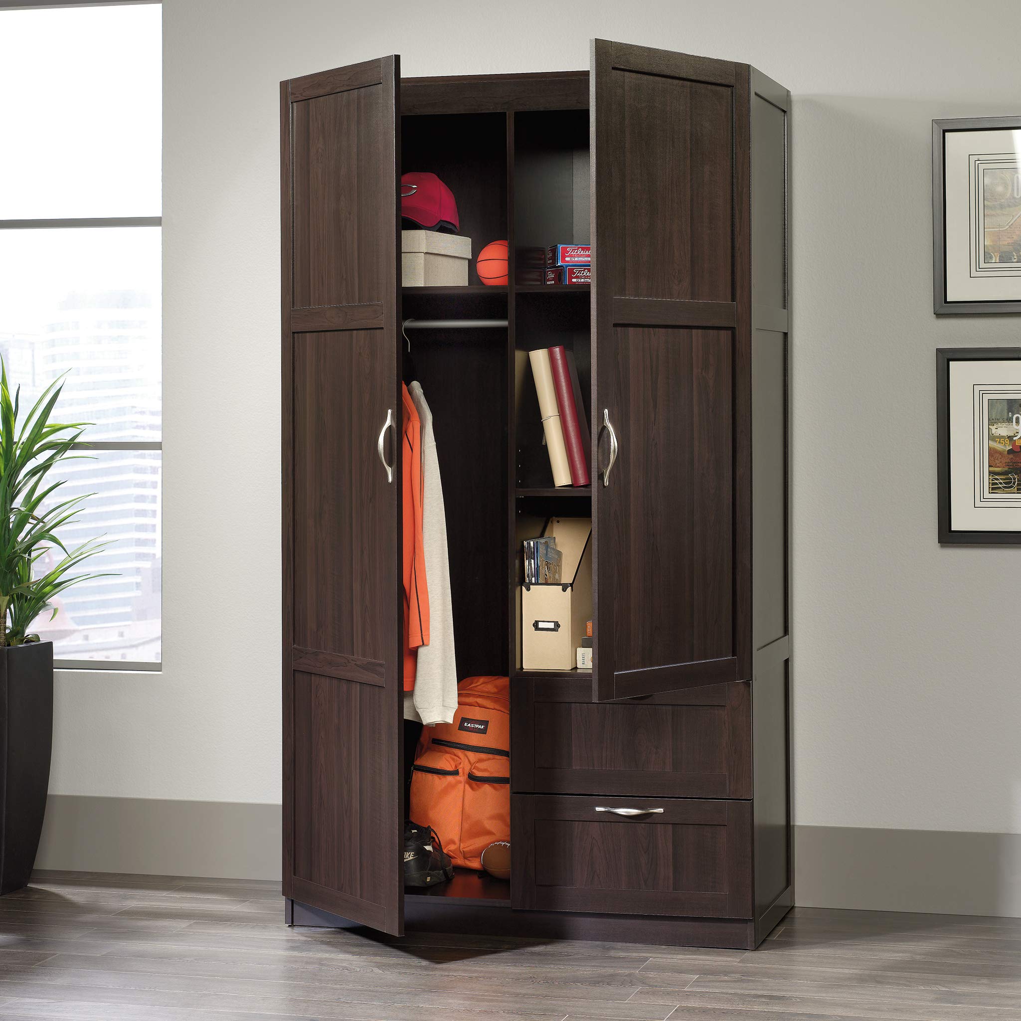 Sauder 420055 Storage Cabinet Cinnamon
