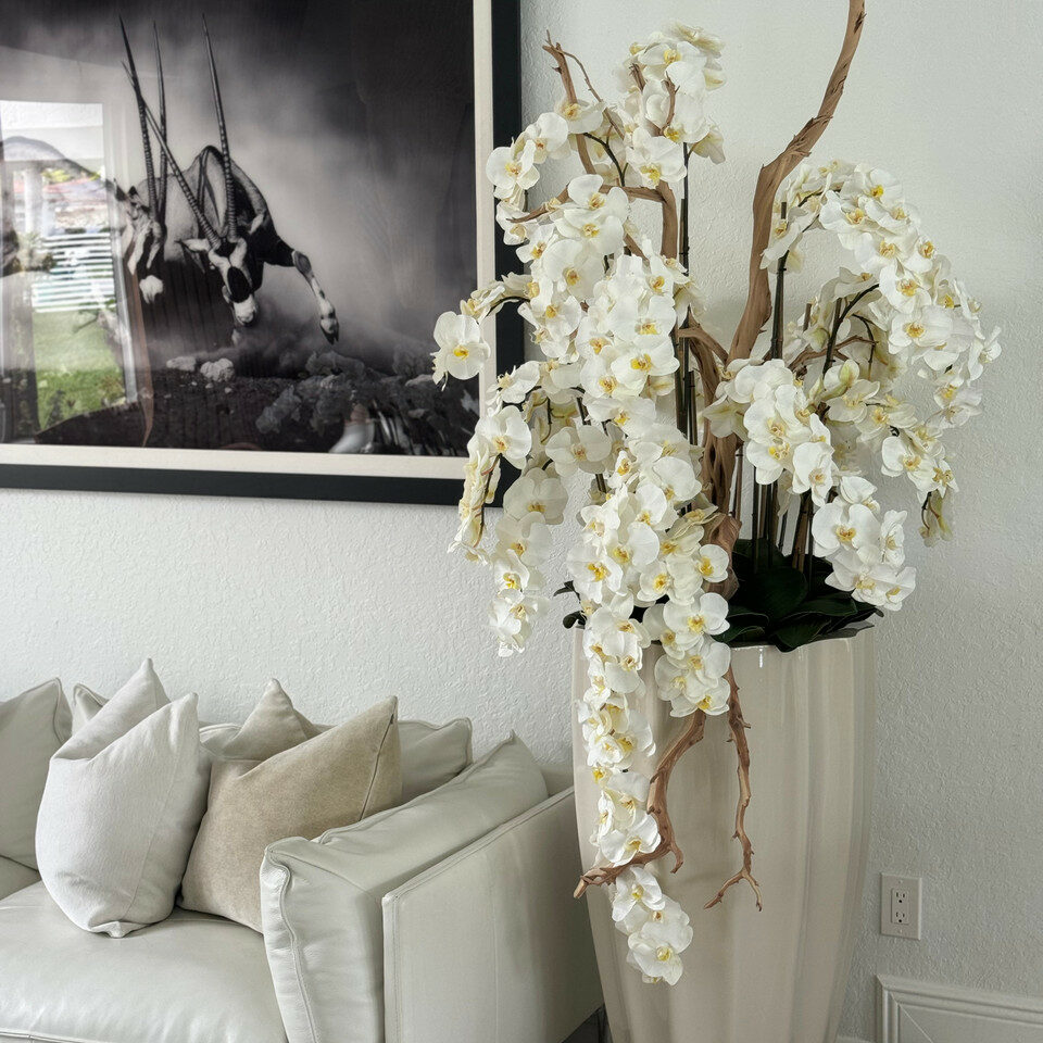 Flower arrangements san jose planter in sand beige with cascading white orchids