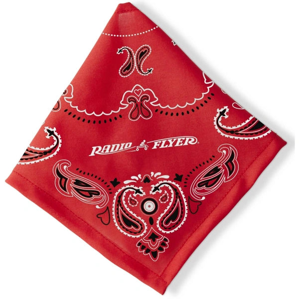 Radio Flyer, Freckles Interactive Spring Horse, Rideon for Kids - MadeInUSA