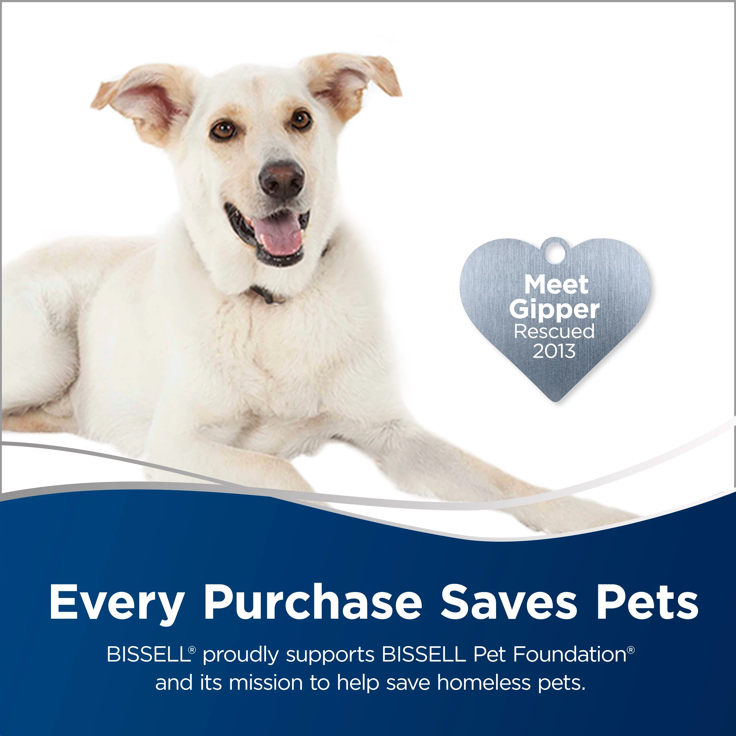 BISSELL Power Lifter Pet with Swivel Bagless Upright Vacuum, 2260 - MadeInUSA