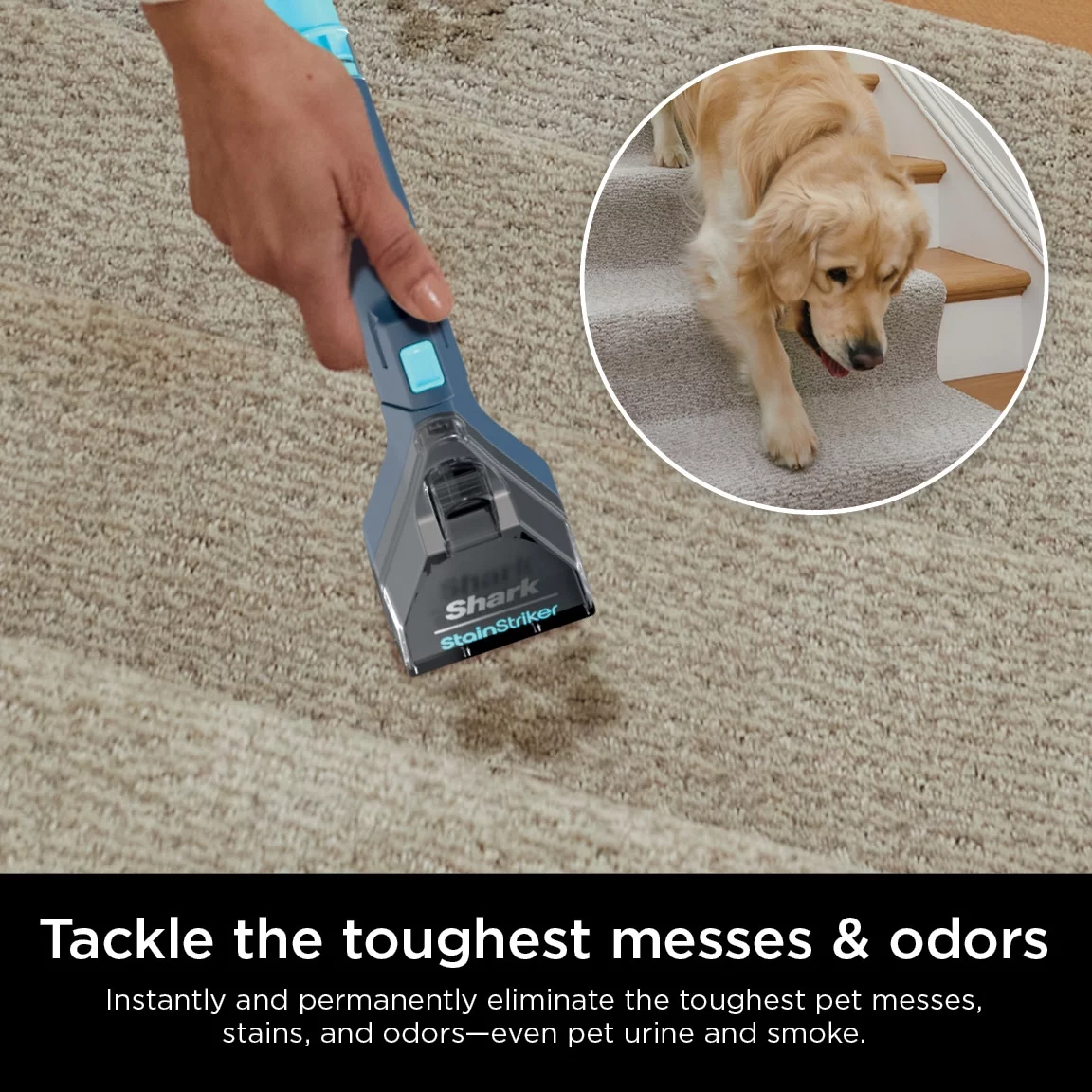 Shark StainStriker Portable Carpet & Upholstery Cleaner, for Use on Carpets, Area Rugs, Couches, Upholstery, Cars & More, Navy, PX200 - MadeInUSA