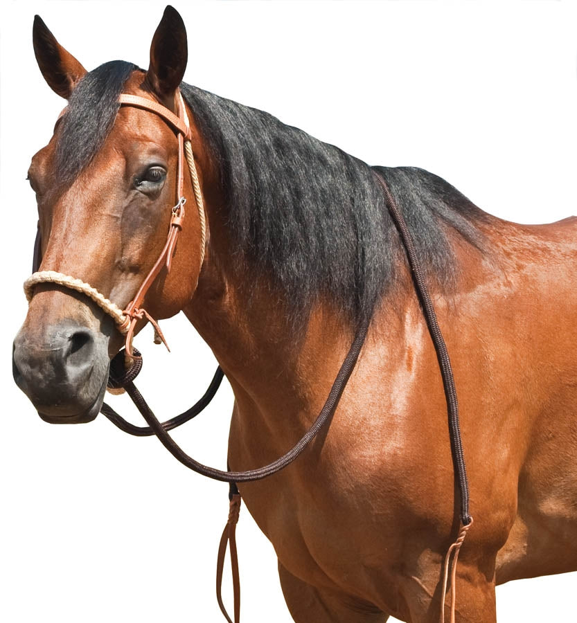 Mustang Breaking Hackamore with Round Braided Noseband