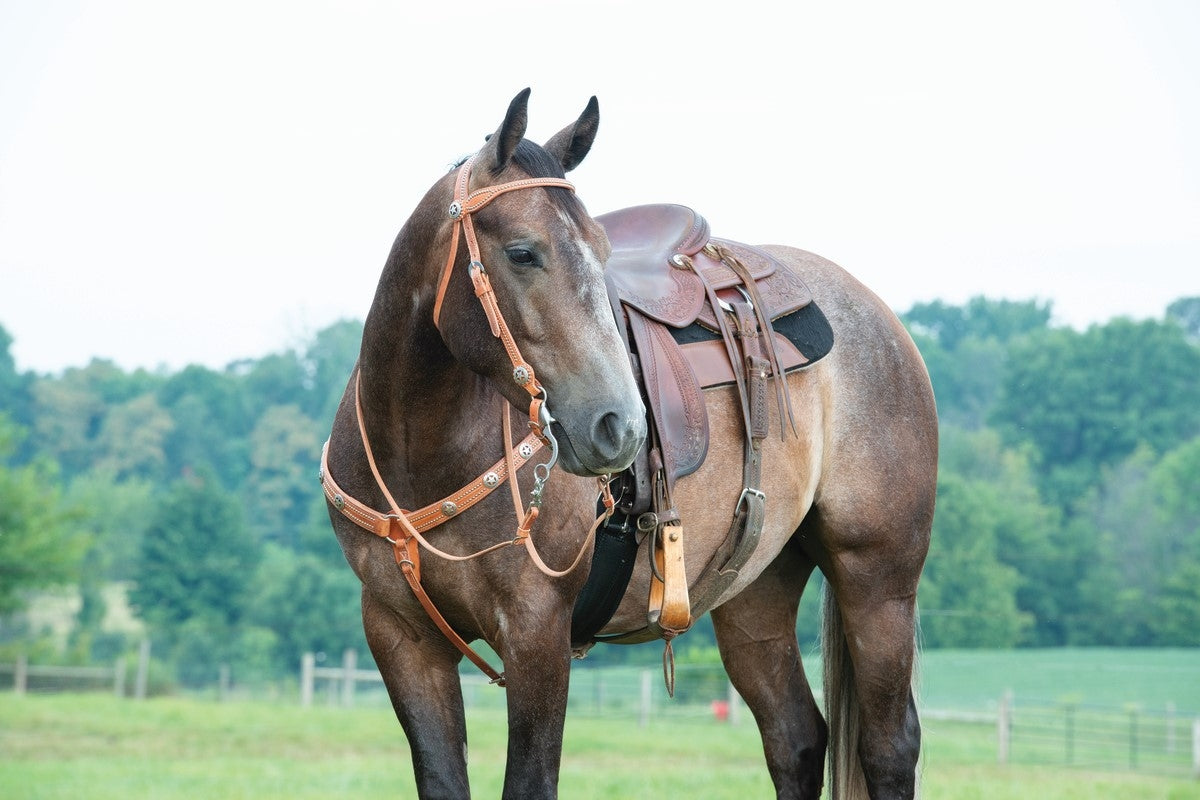 Weaver Leather Texas Star Multi-Concho Tapered BreastCollar