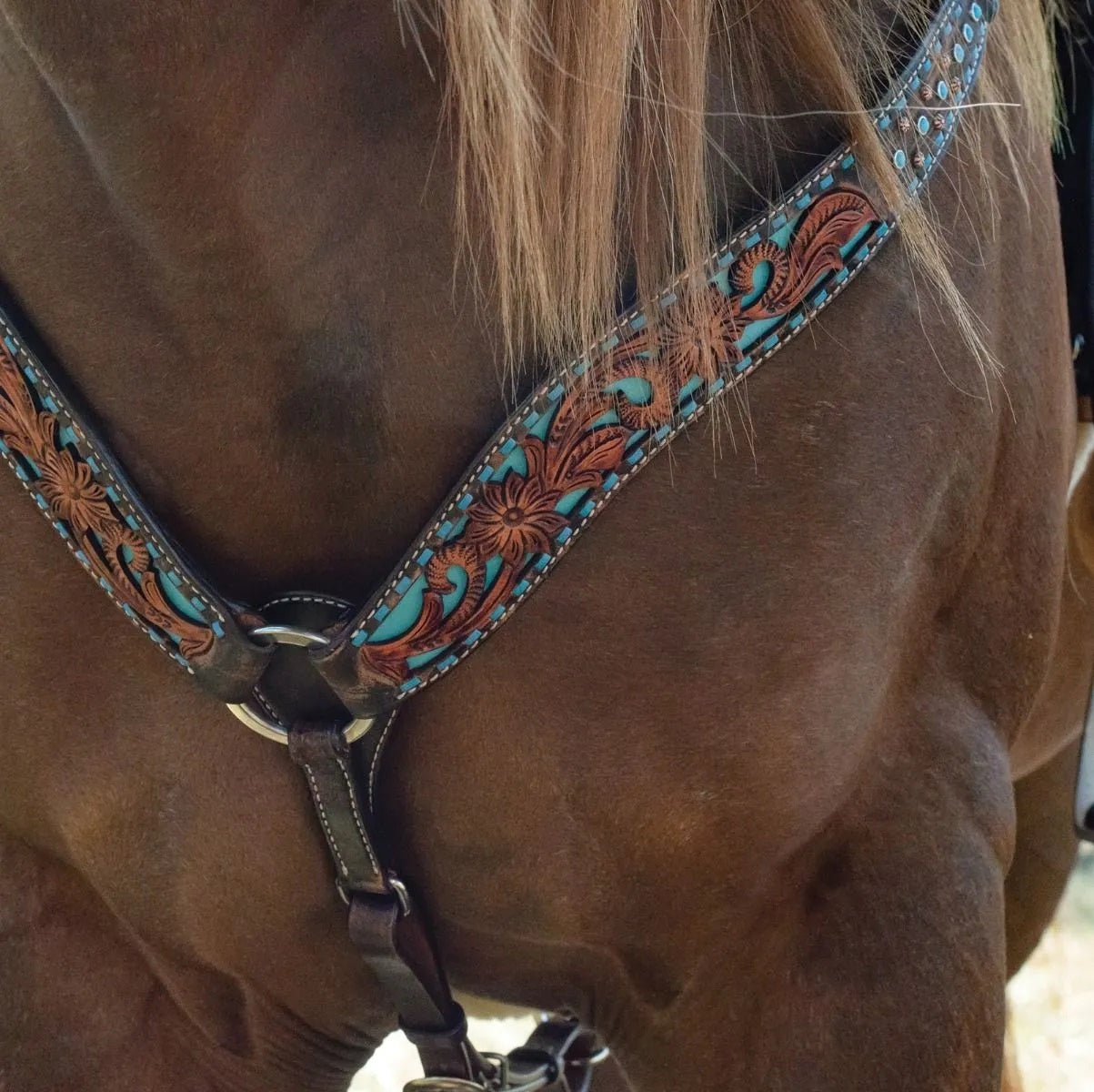 Circle Y Bronco Blue Texas Flower Breast Collar