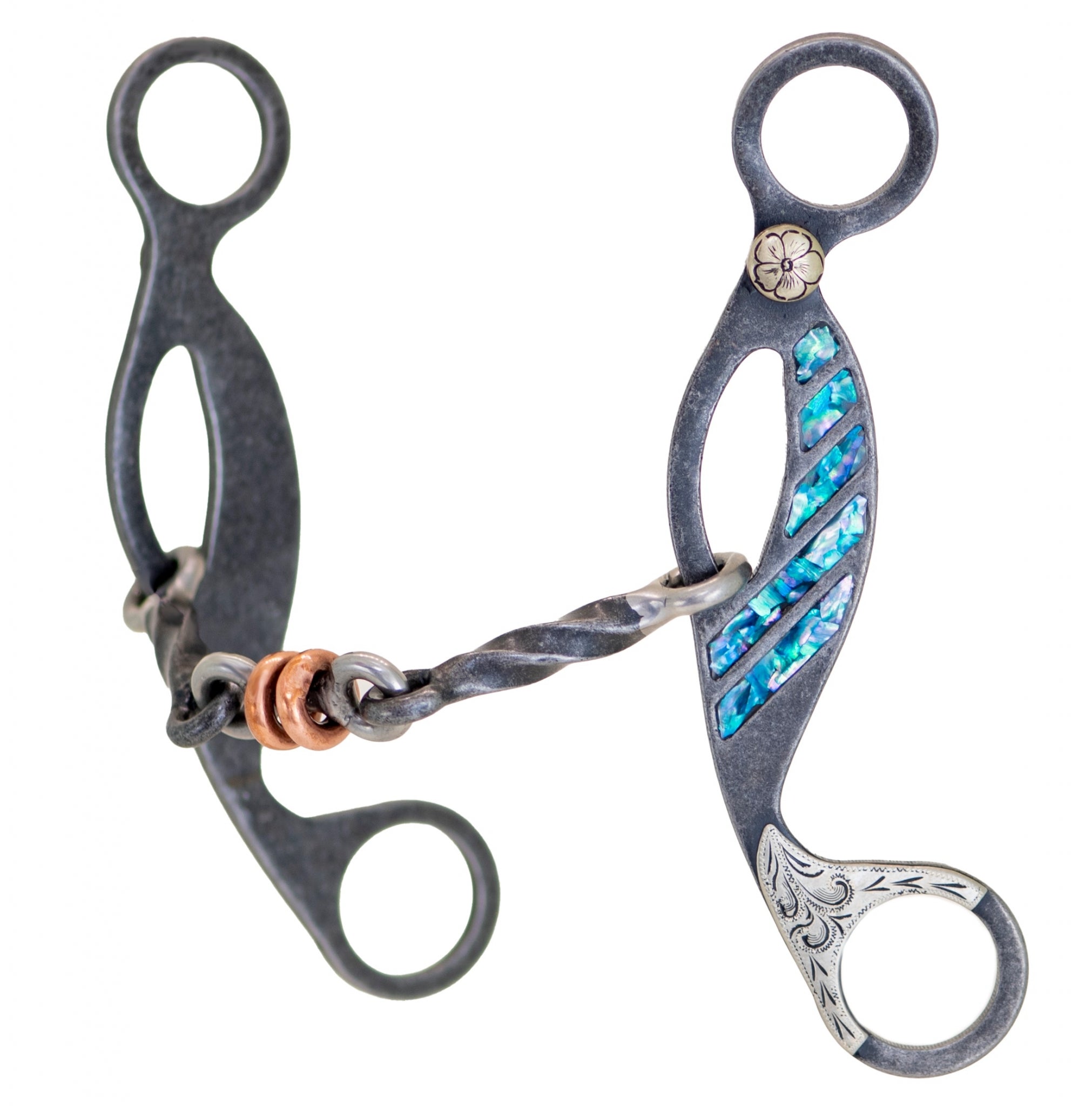 Partrade Turquoise Twisted Dog Bone Gag Bit