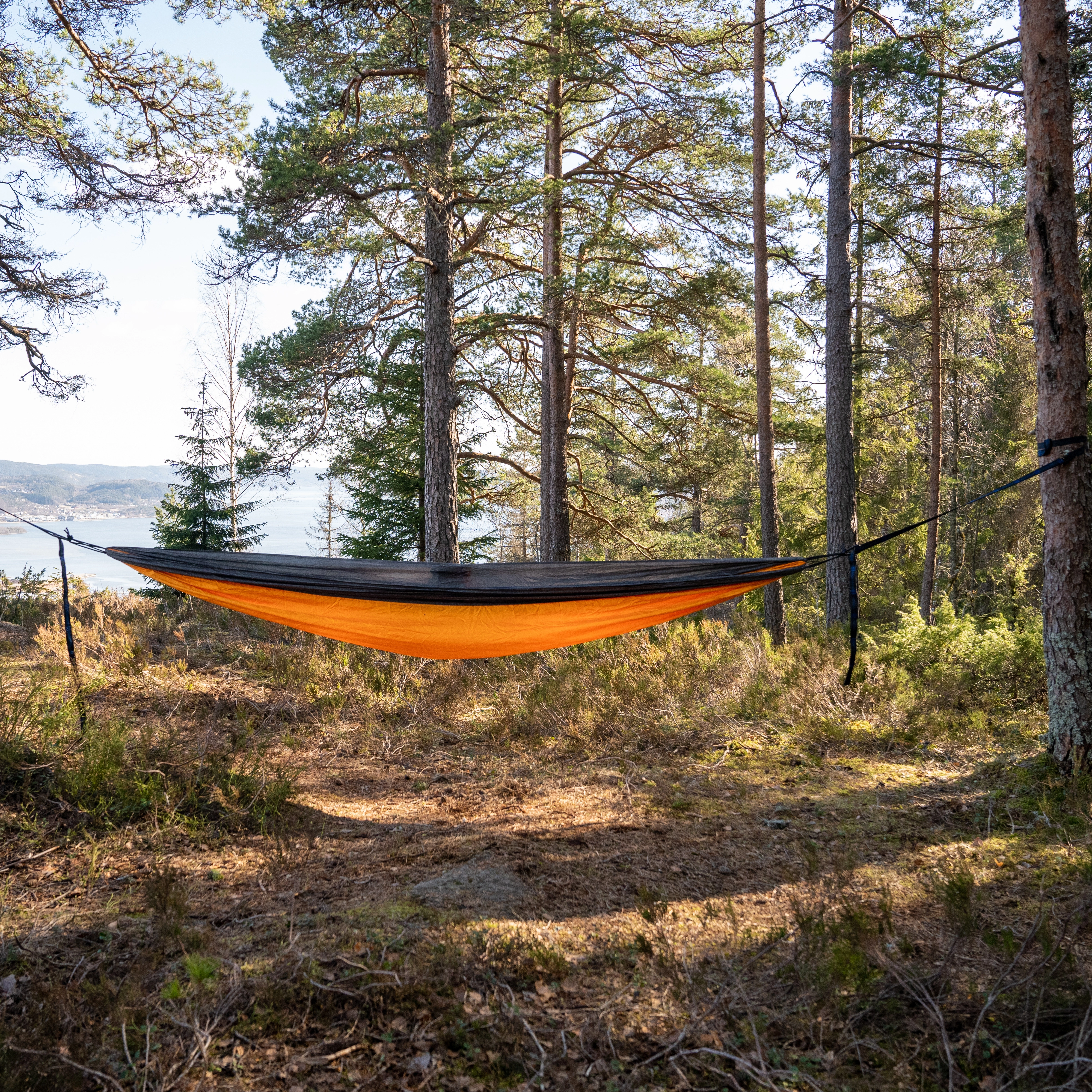 Single Hammock