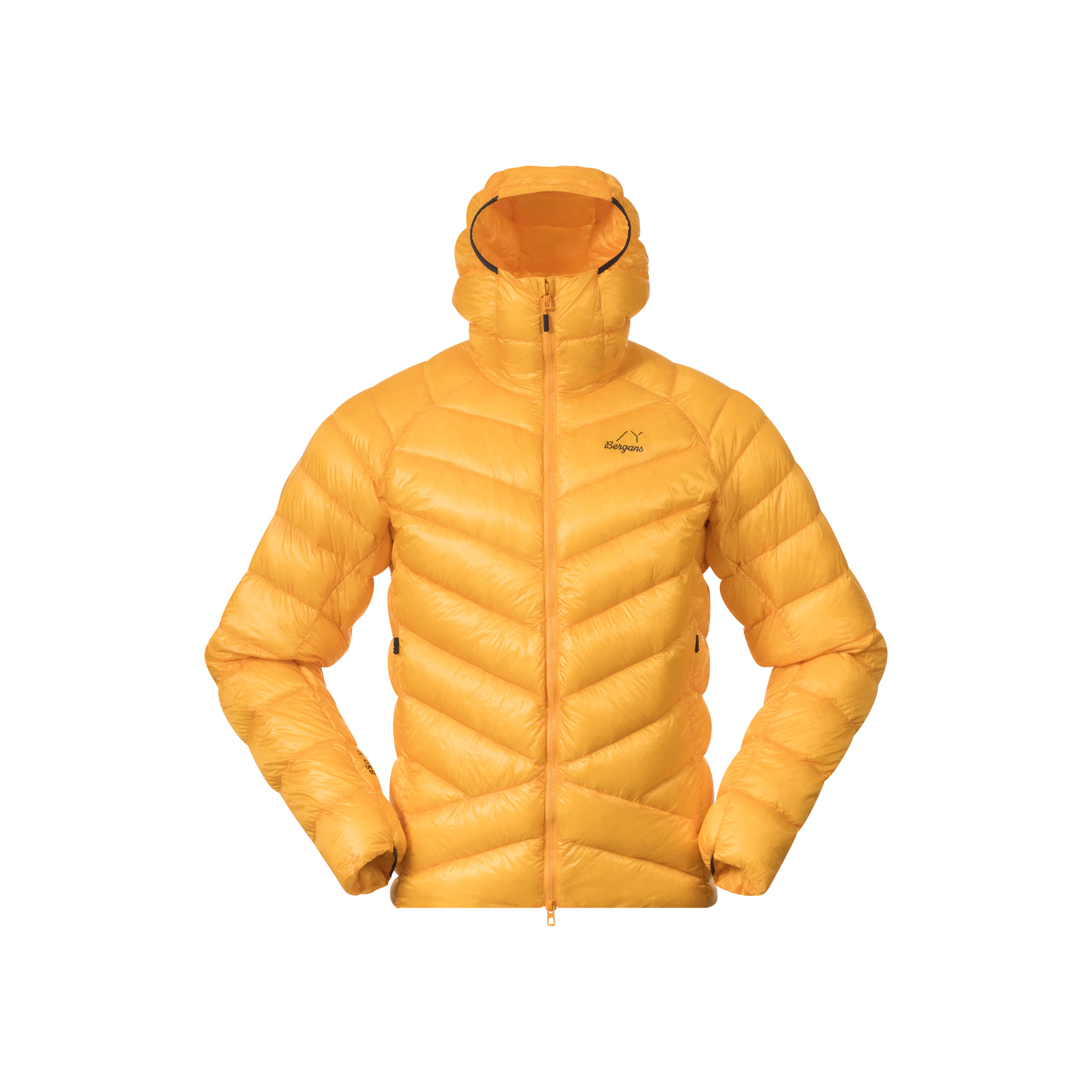 Y LightLine Weightless Down Jacket Hood Men