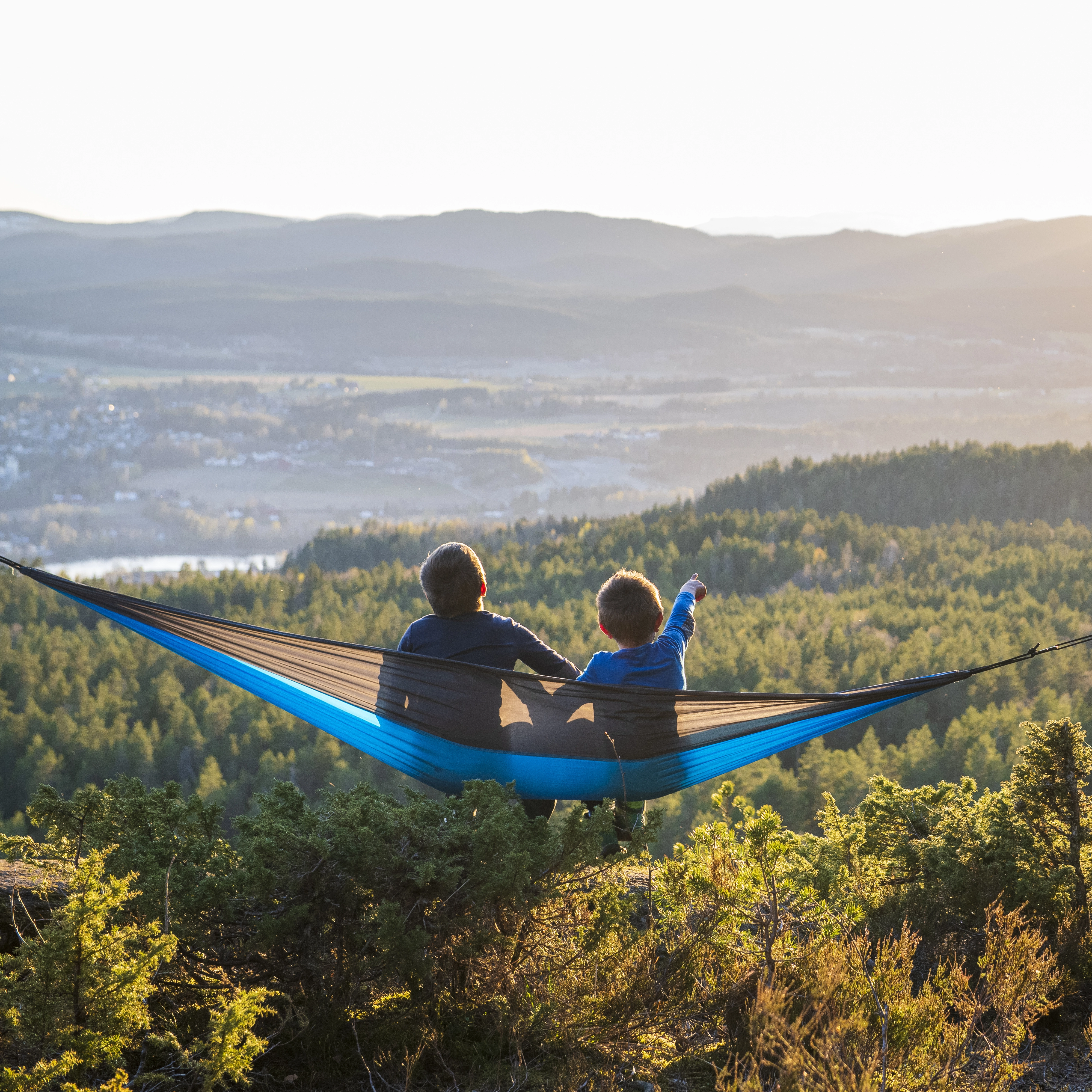 Single Hammock