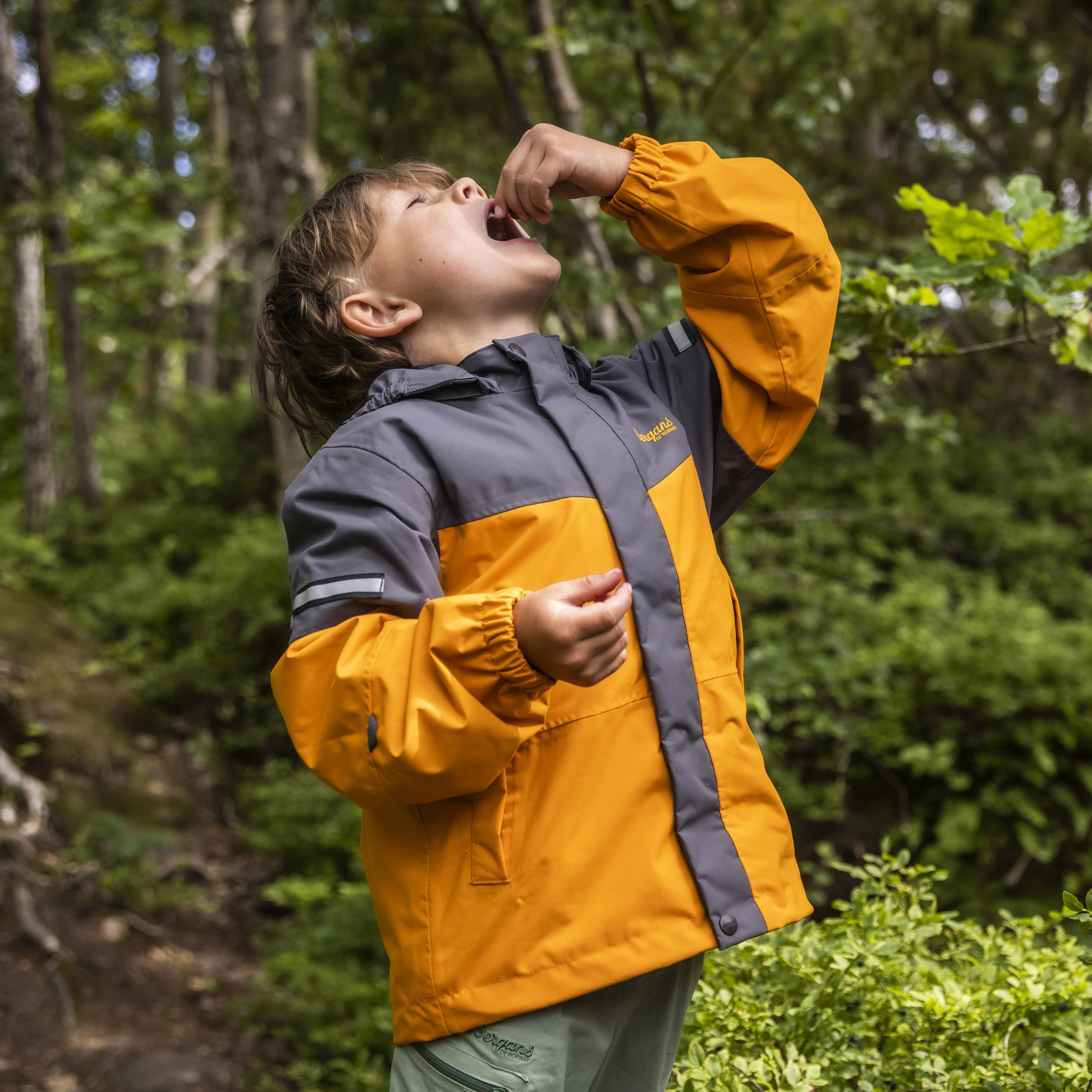 Bergans Wool Neck Warmer