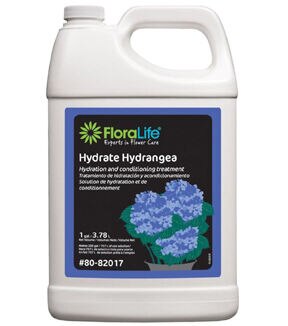 OASIS Floralife Hydrate Hydrangea Hydrating Treatment 1 Gallon
