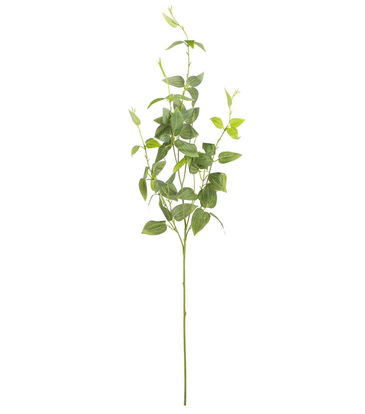38 Clematis Leaf Stem by Bloom Room