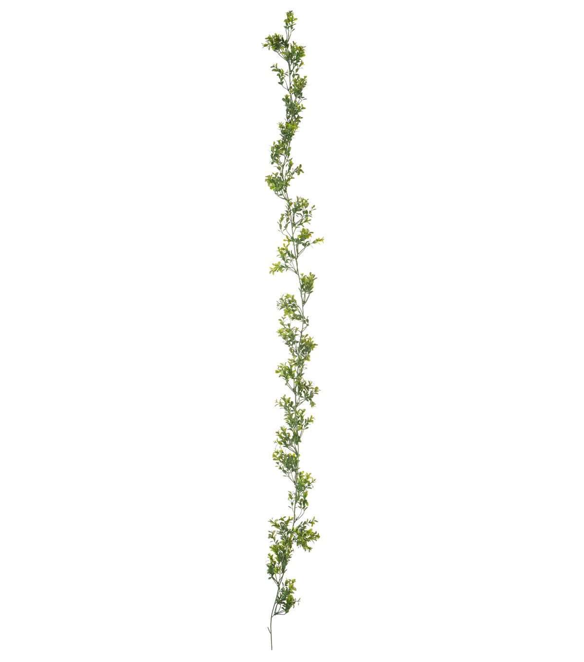 72 Boxwood Garland by Bloom Room