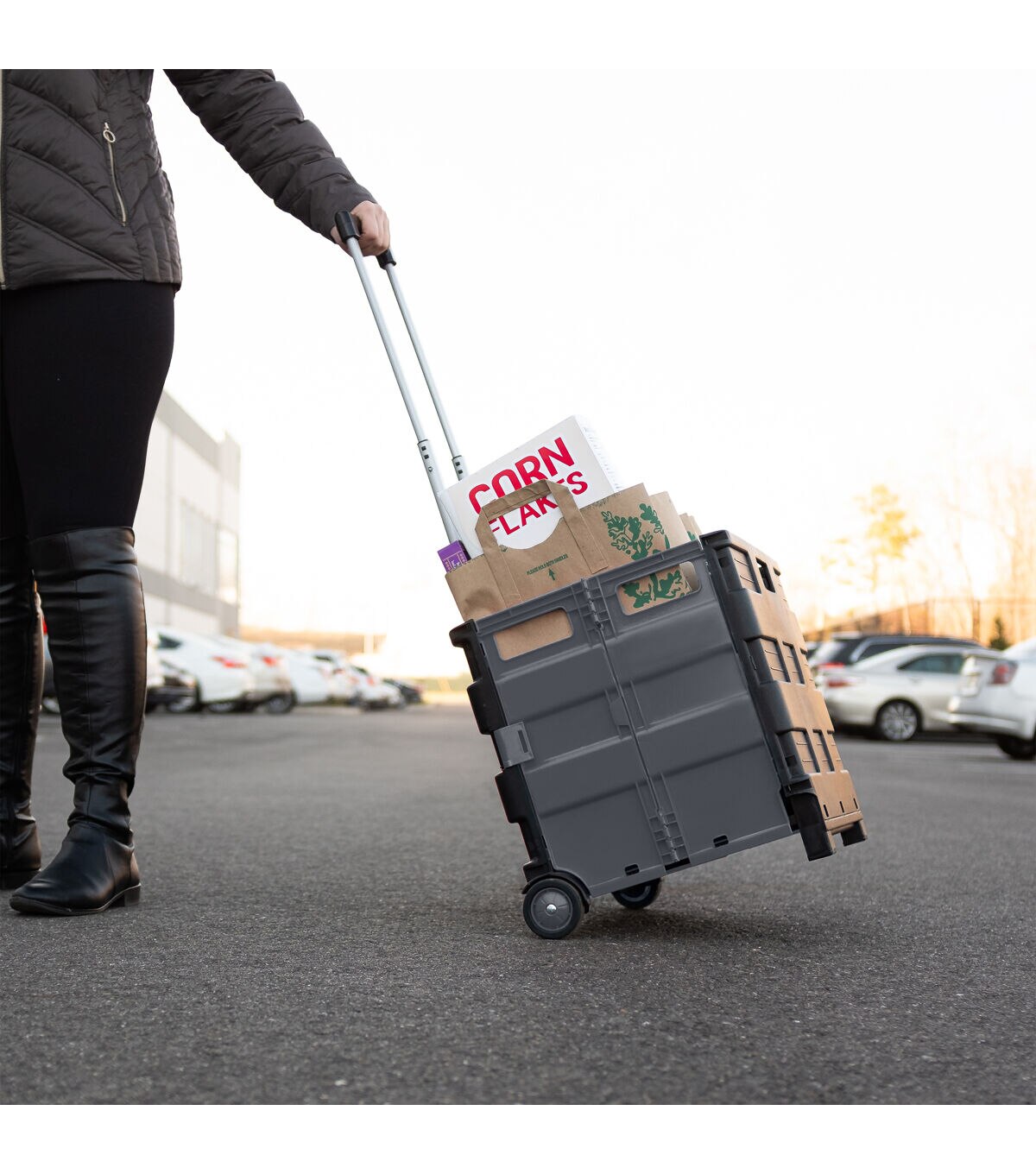 Simplify 16.5 x 14.5 Collapsible Utility Cart