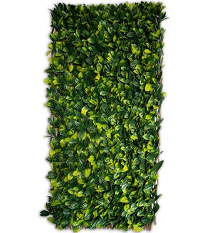 Greensmart Dekor 51 x 26 Expandable Lemon Leaf Lattice Screen