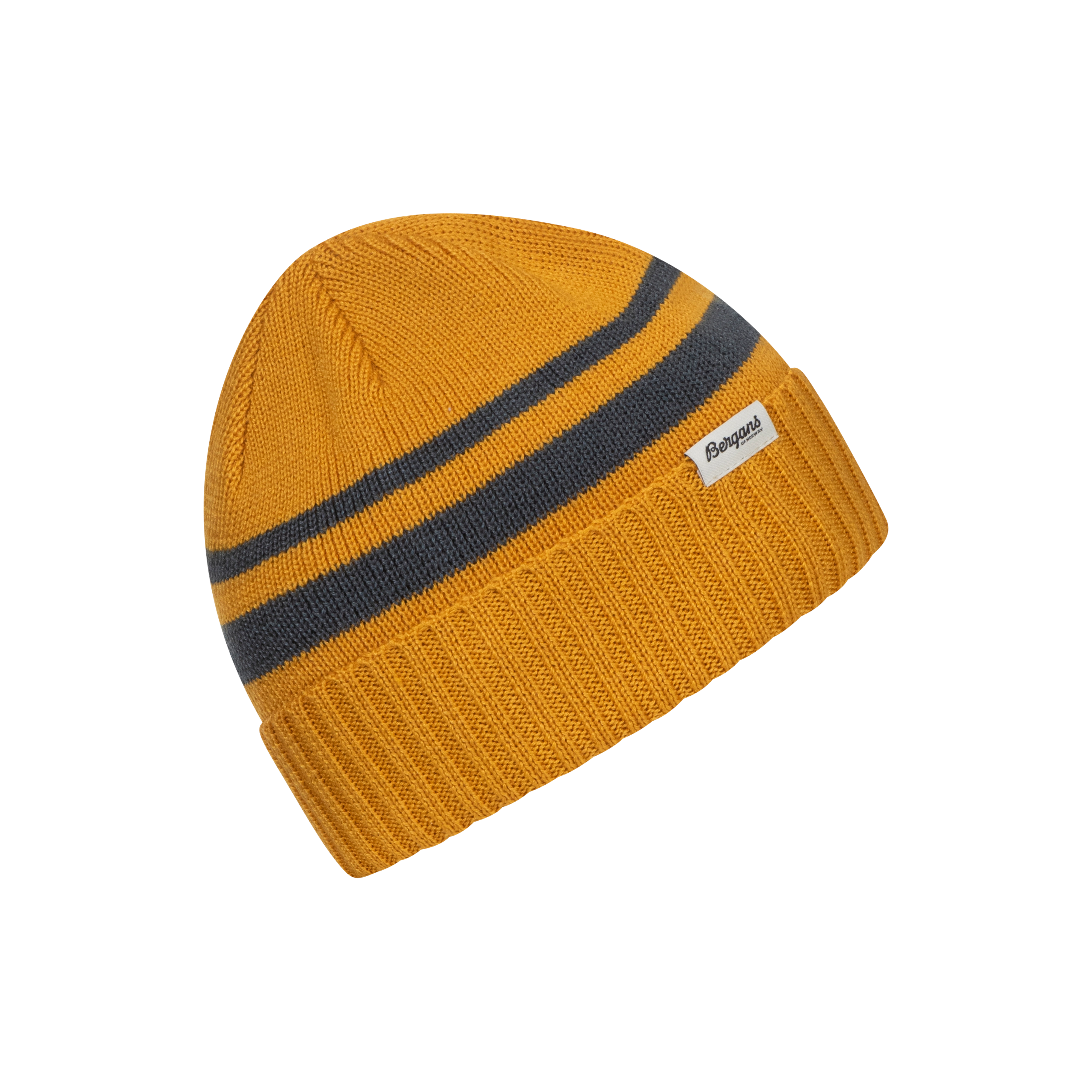 Striped V2 Beanie