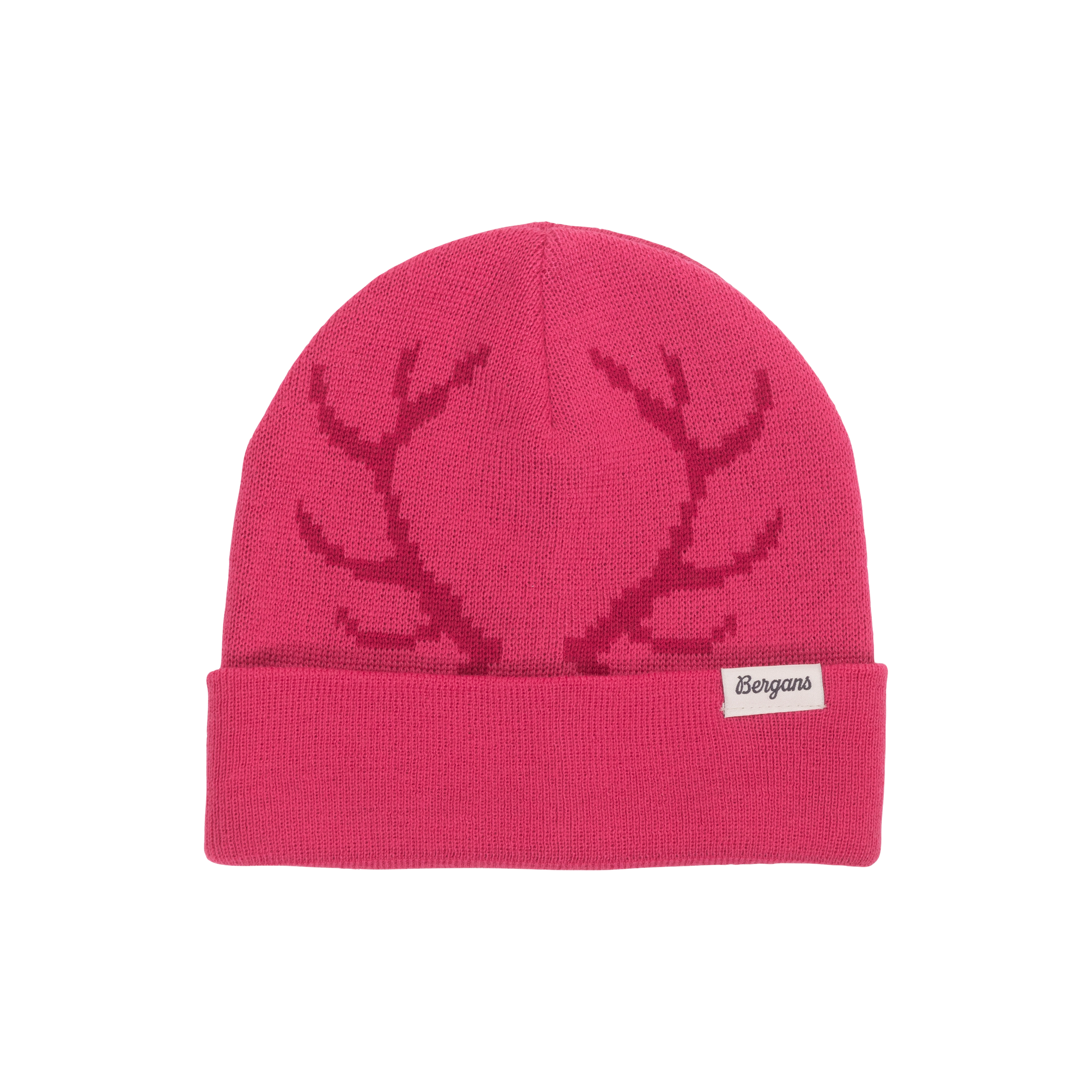 Antlers Kids Beanie