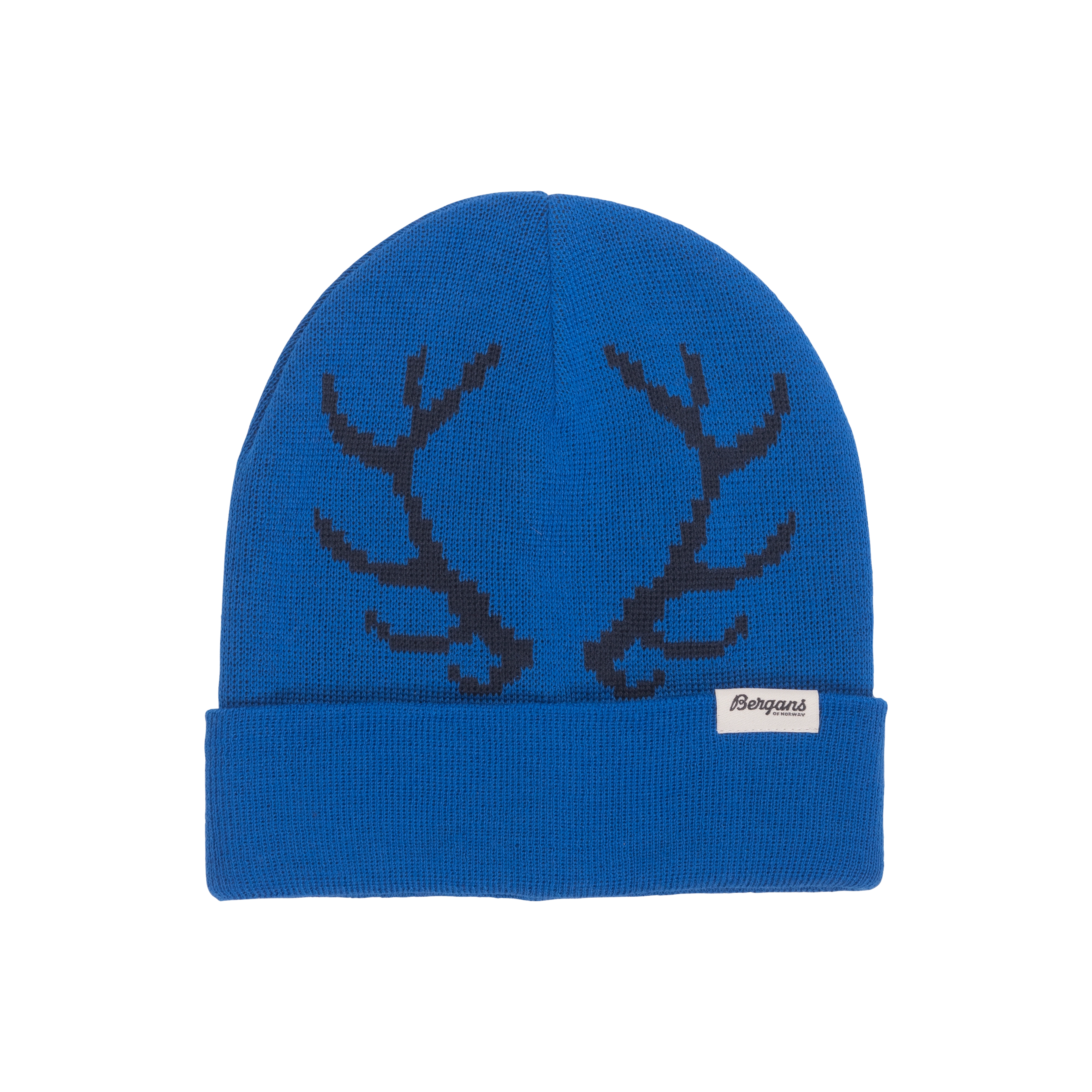Antlers Kids Beanie