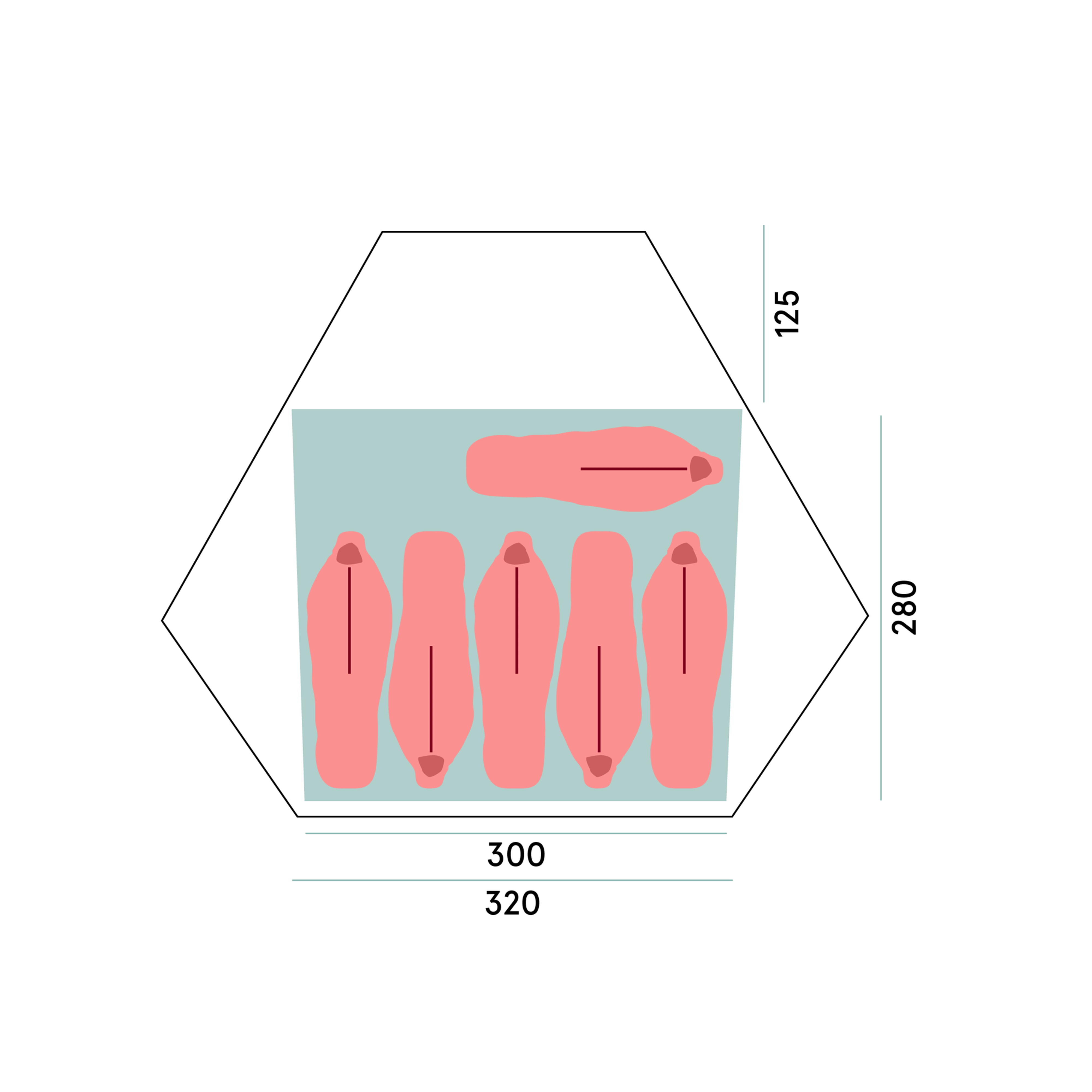 Wiglo®LT v.2 6