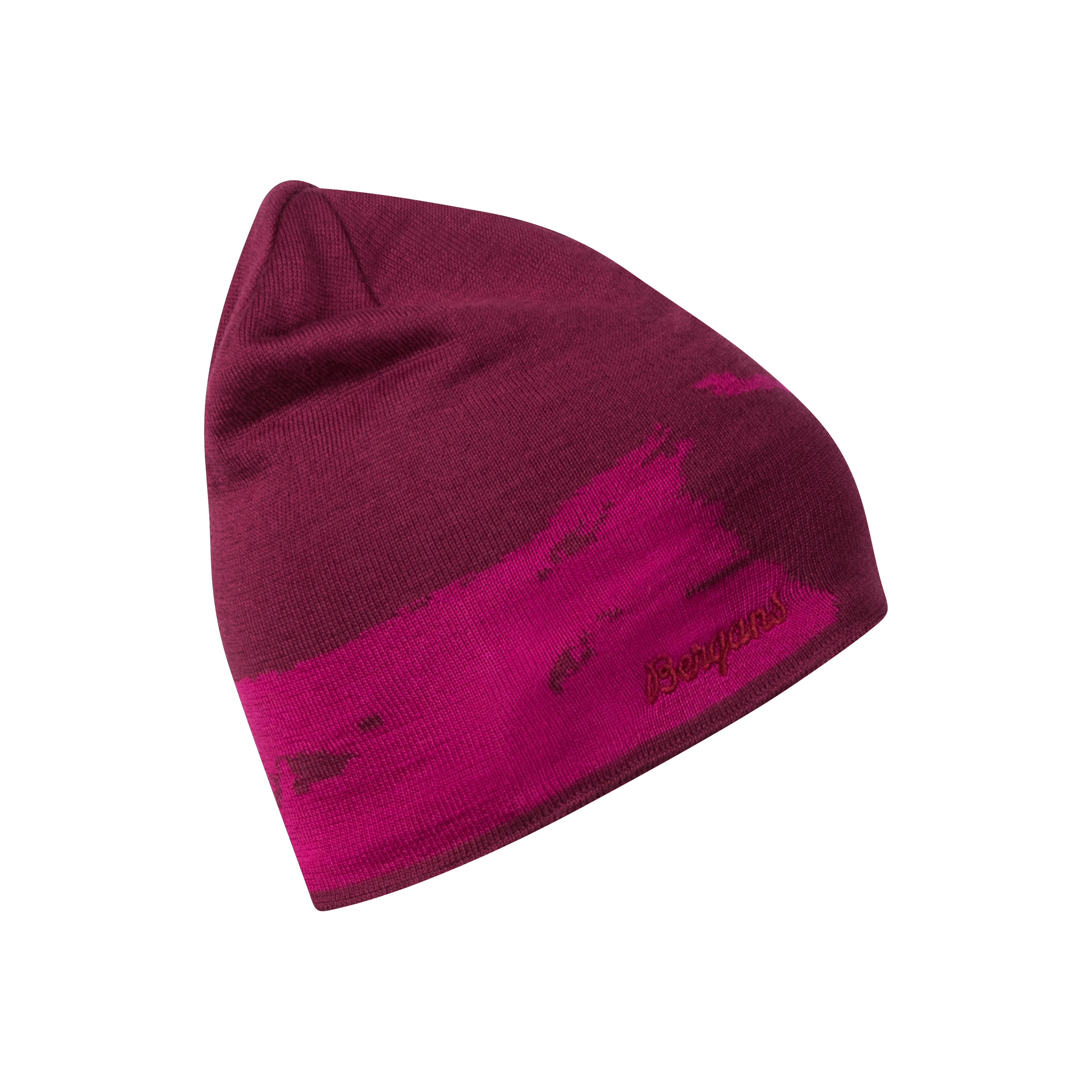 Ski Beanie