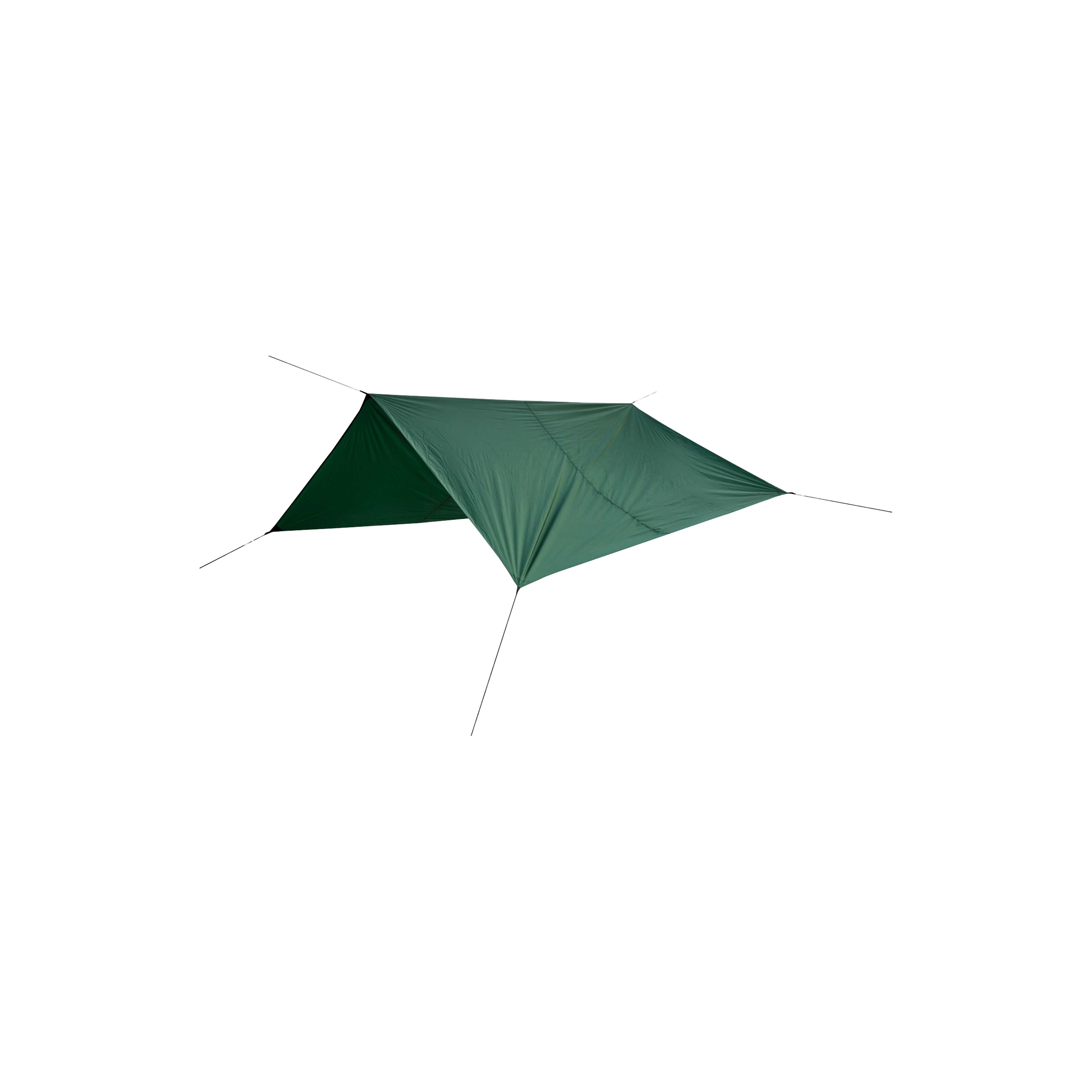 Tarp Large