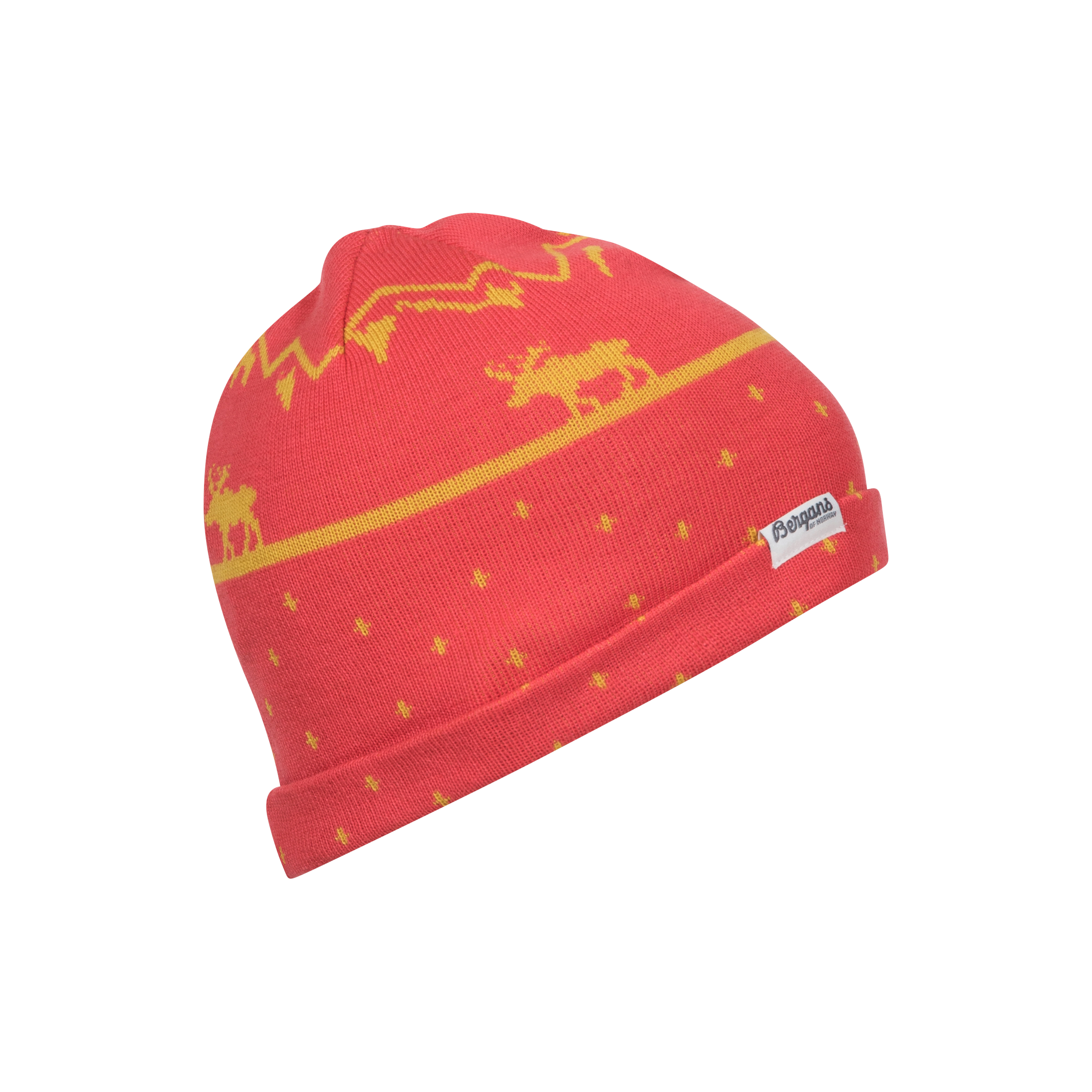 Mountain Moose Kids Beanie
