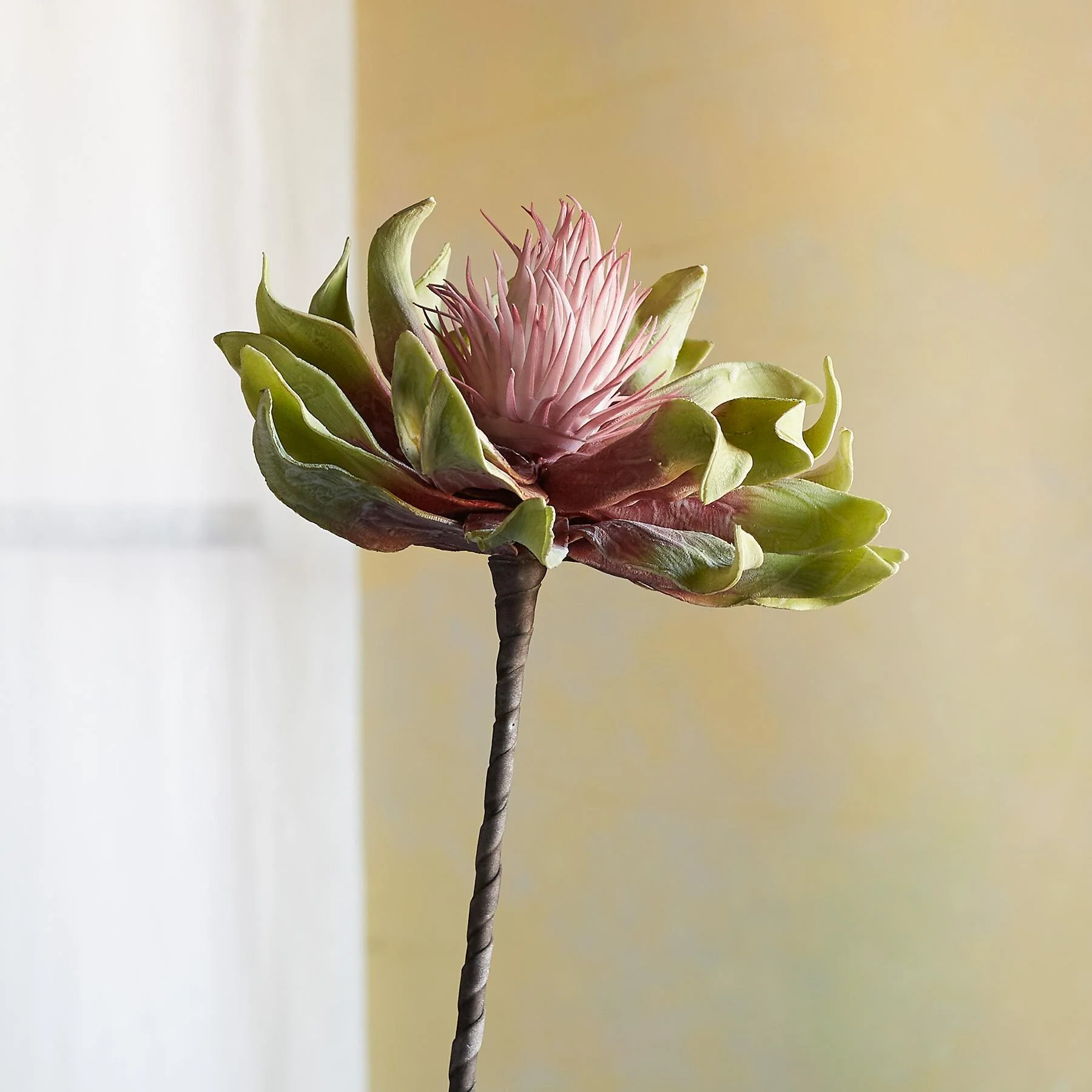 Bountiful Botanicals