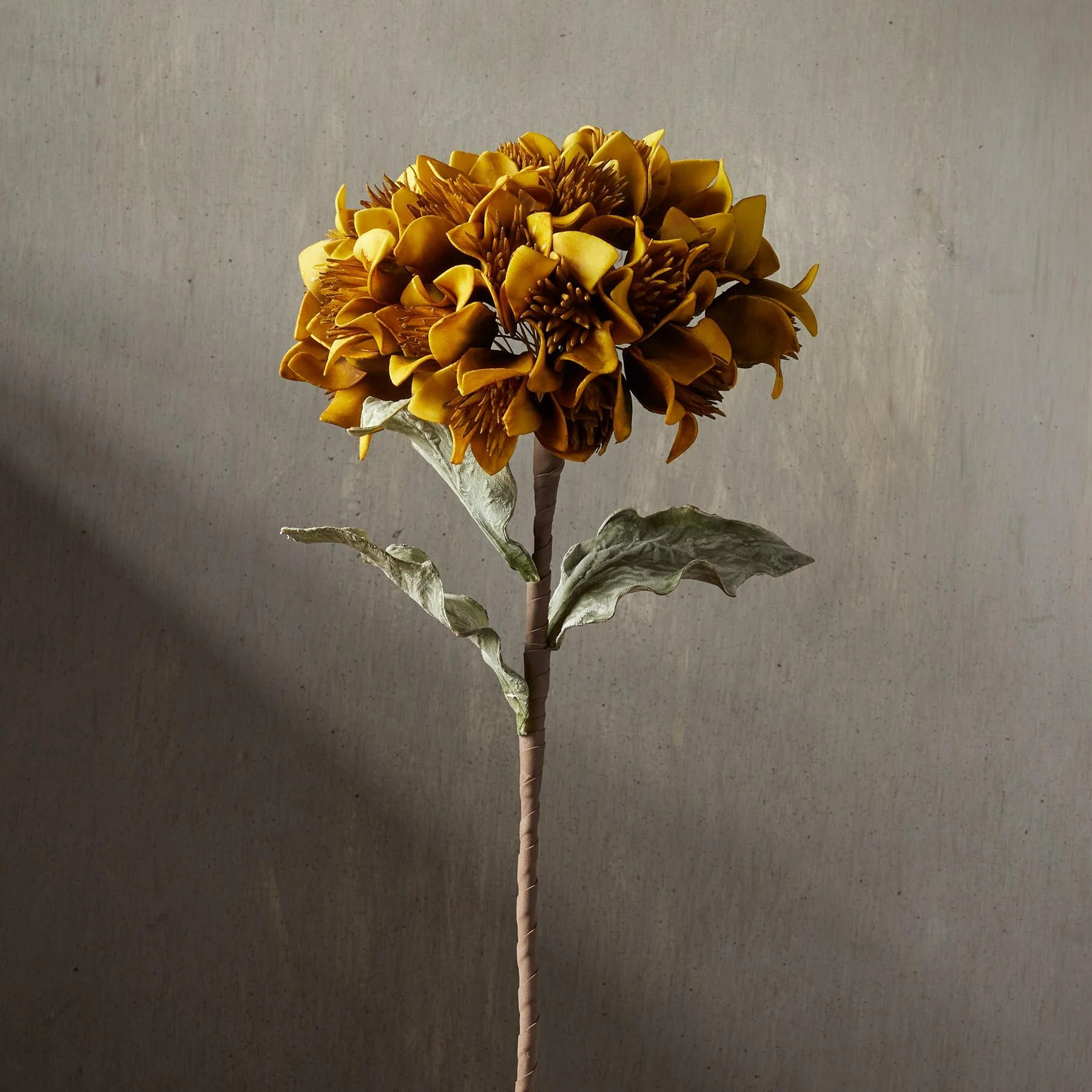 Bountiful Botanicals