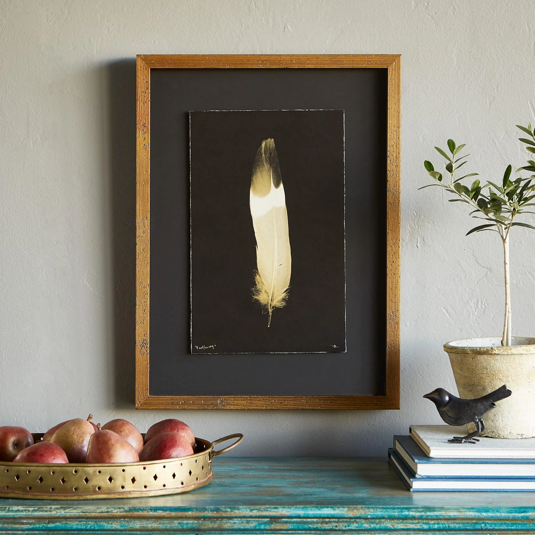 Feather Studies Negatives Prints