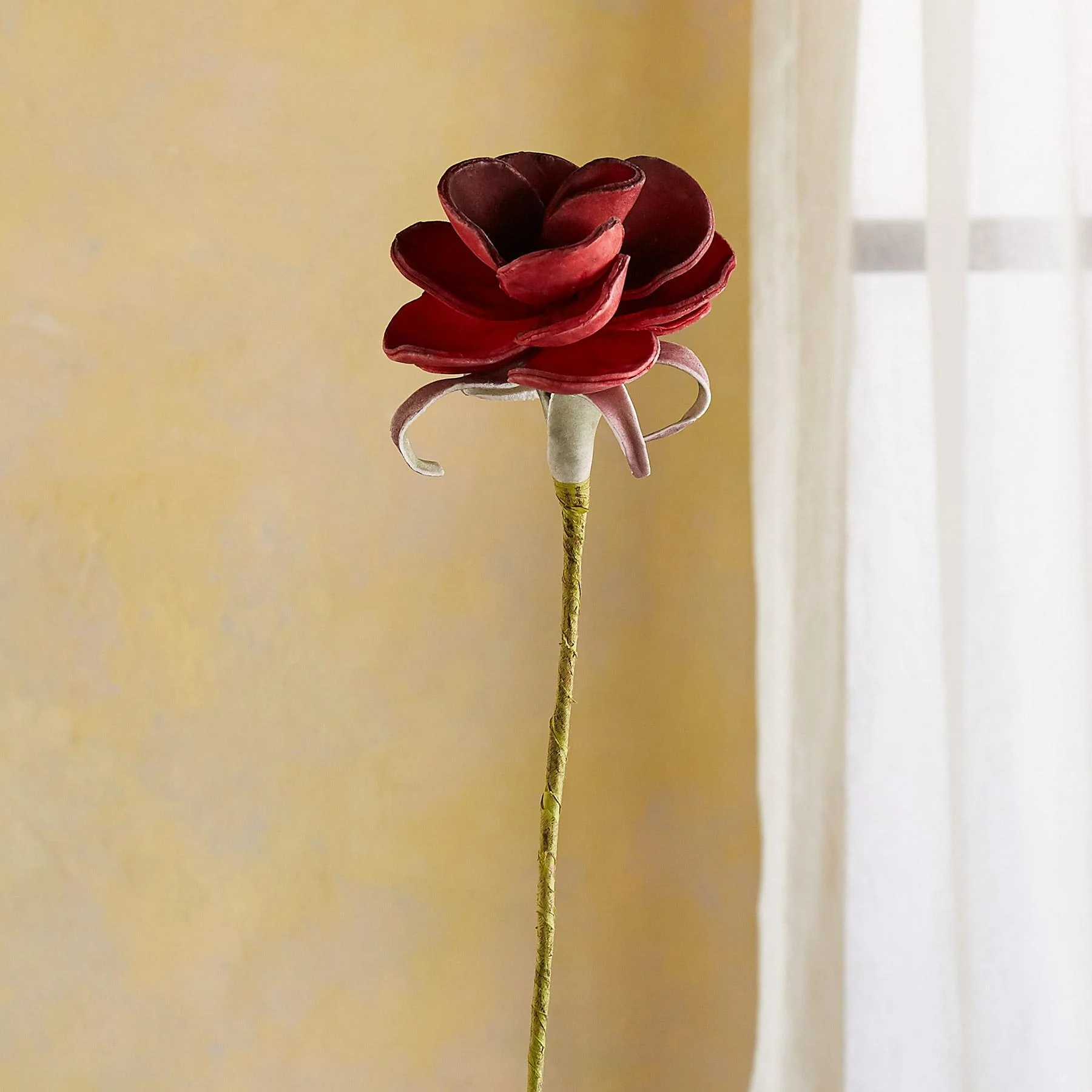 Bountiful Botanicals