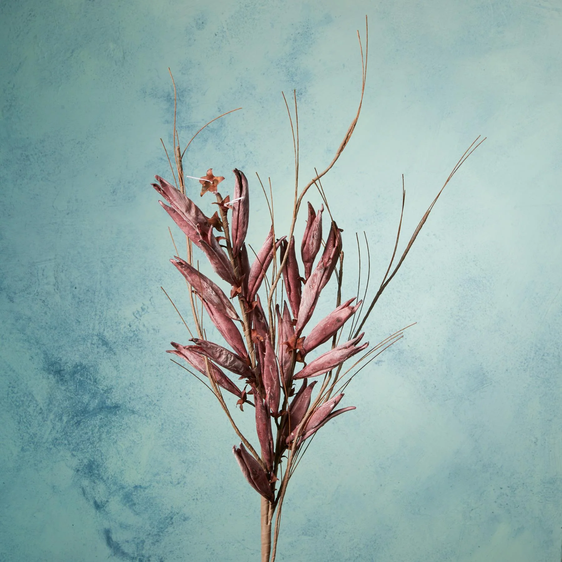 Bountiful Botanicals